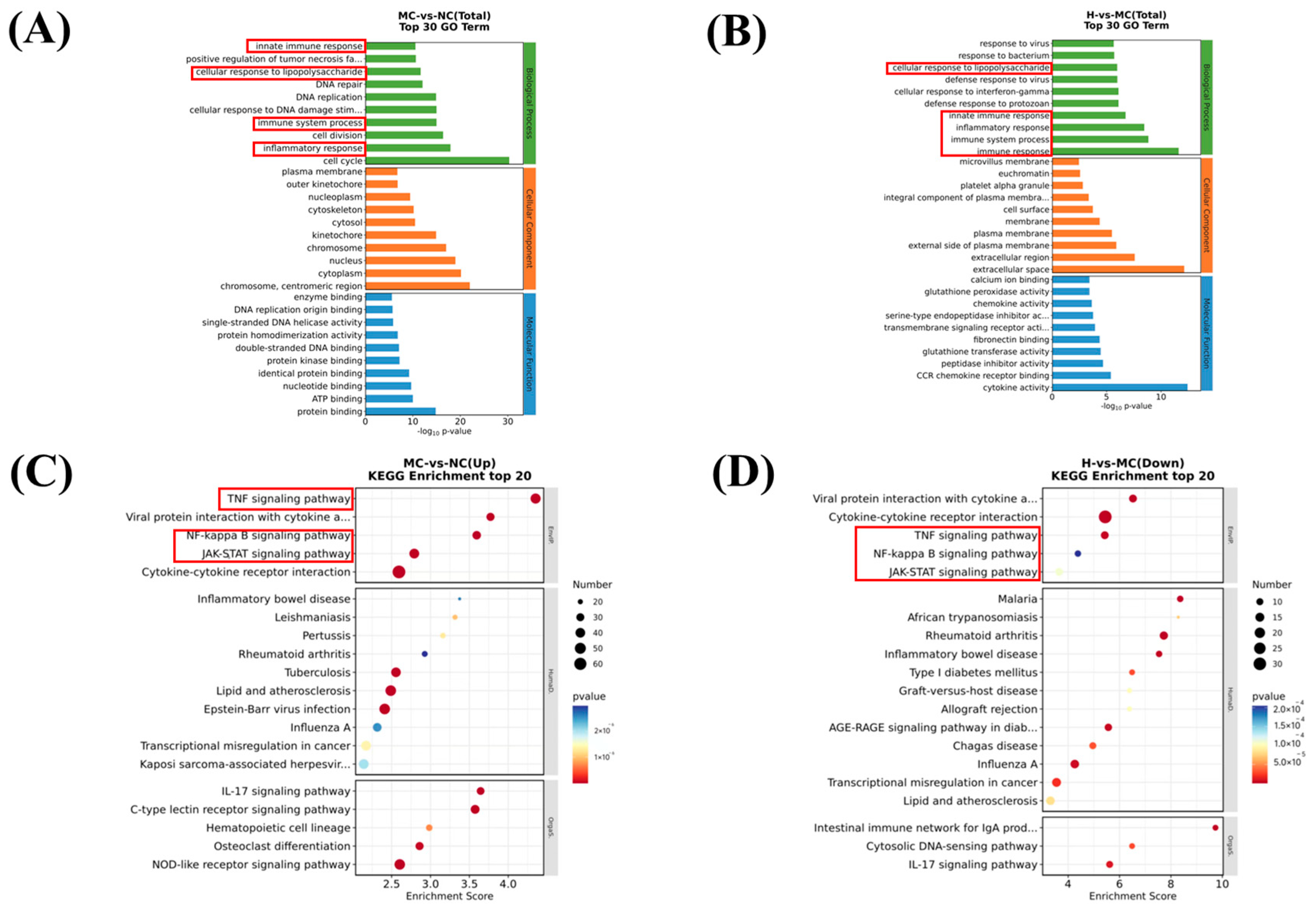 Applsci 15 05177 g003