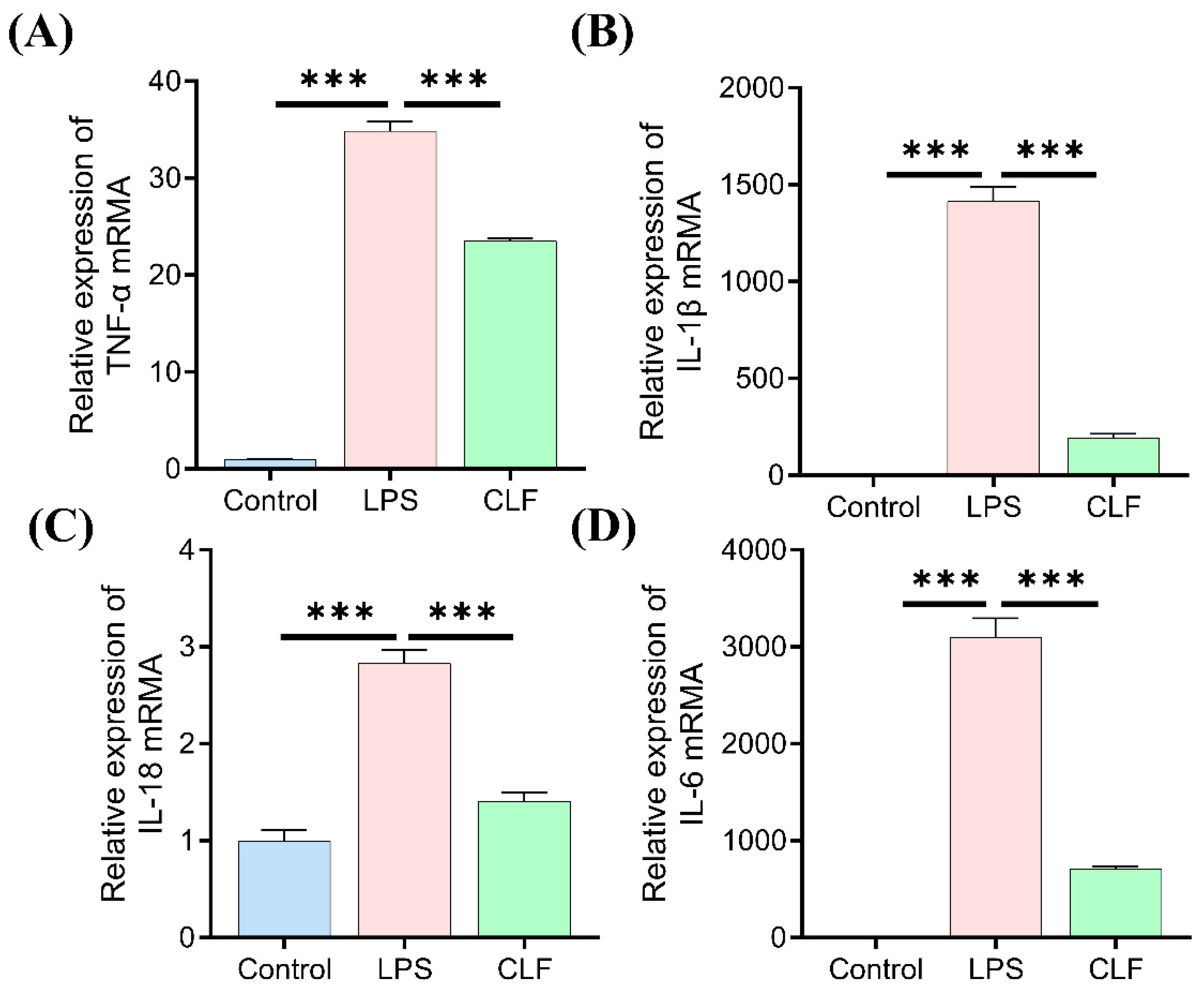 Applsci 15 05177 g004
