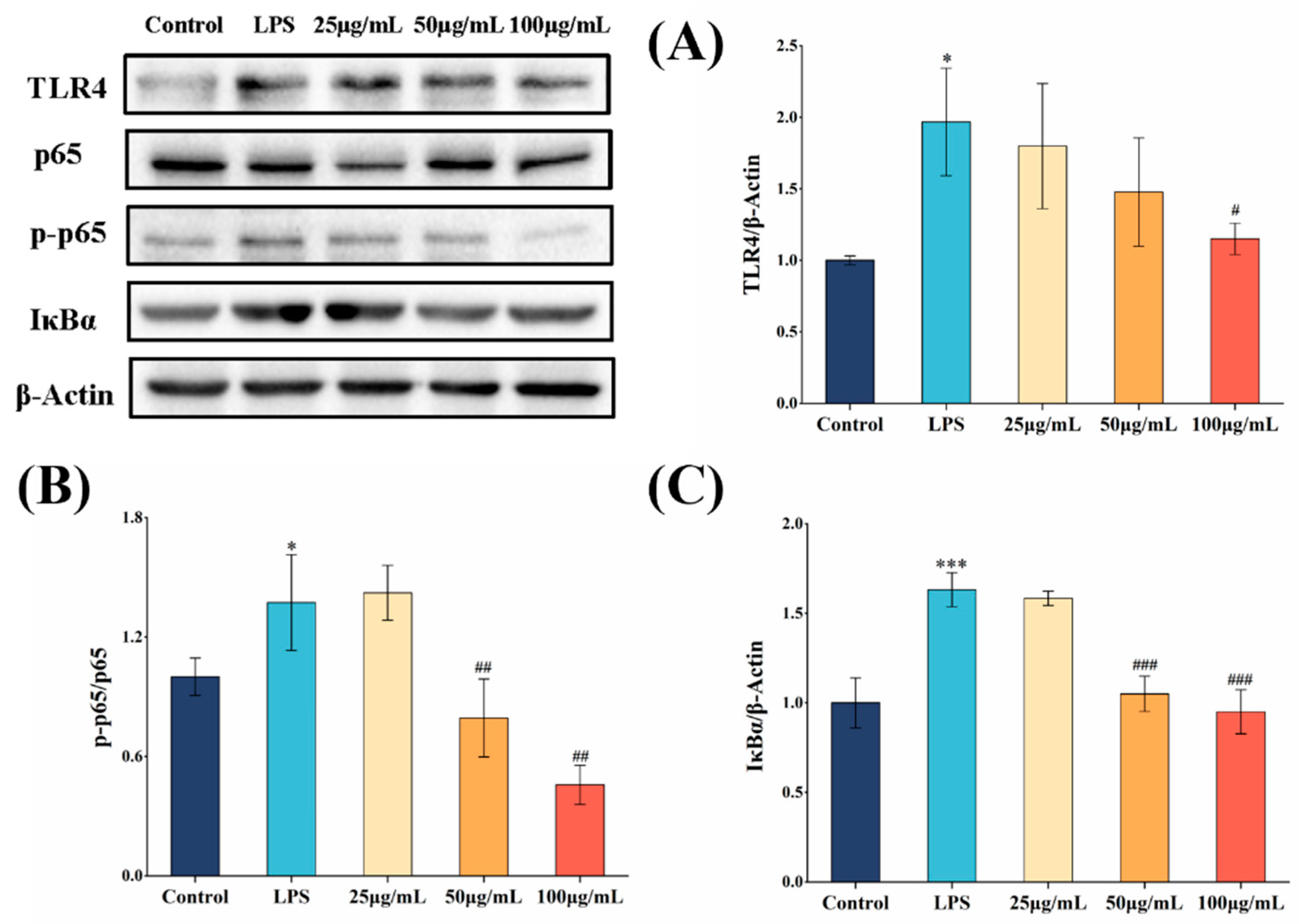 Applsci 15 05177 g005