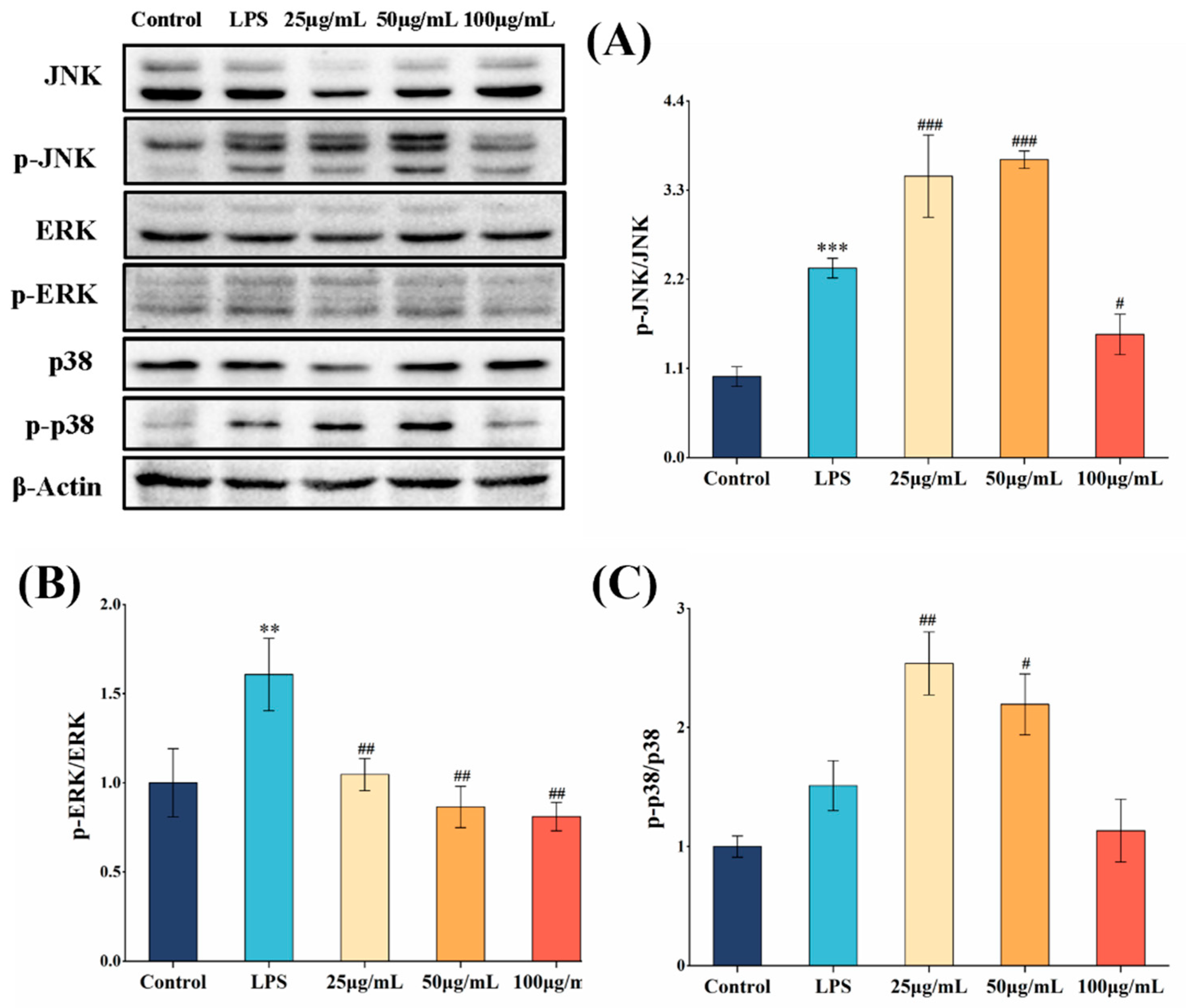 Applsci 15 05177 g006