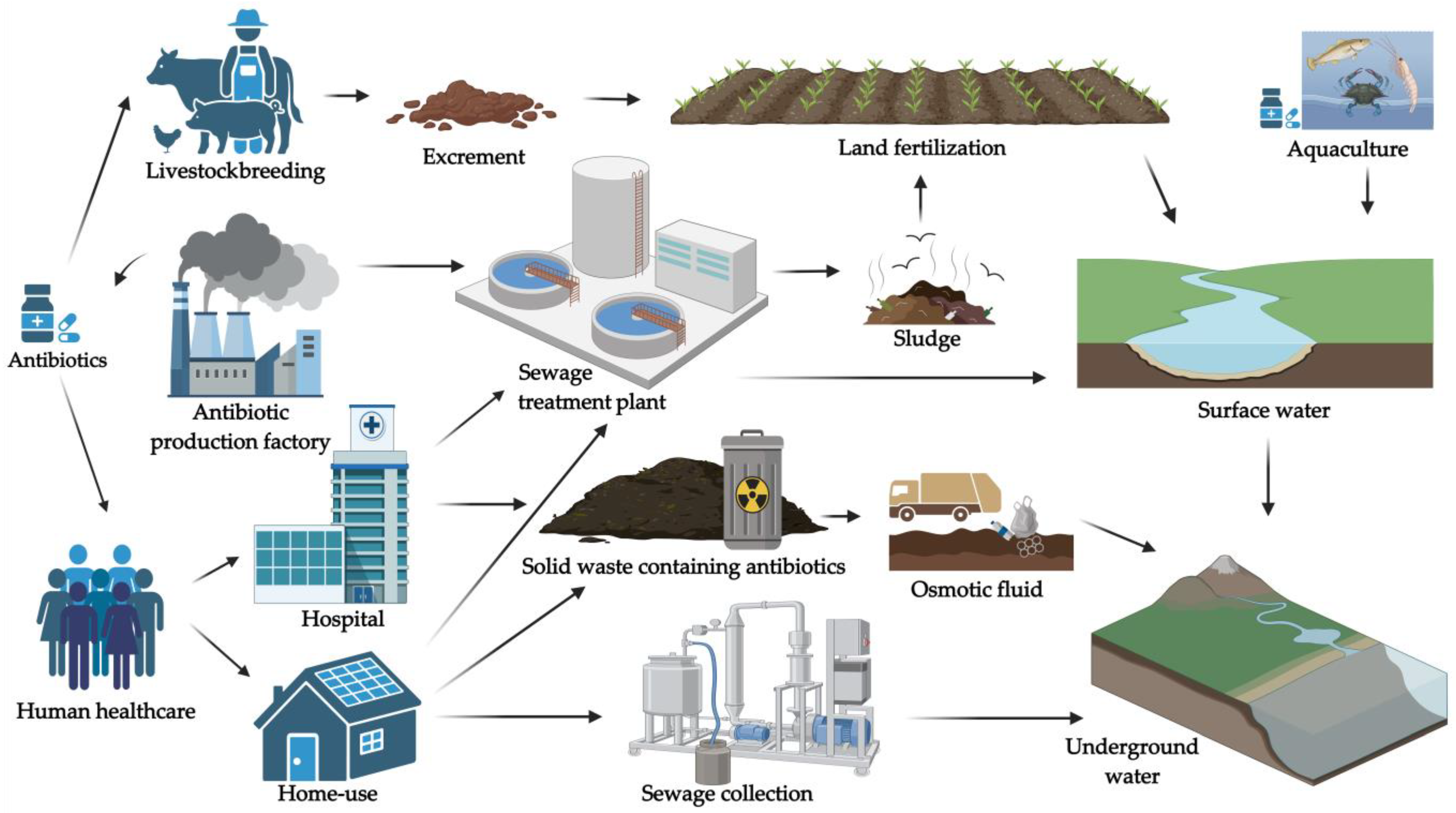 Applsci 15 05182 g001