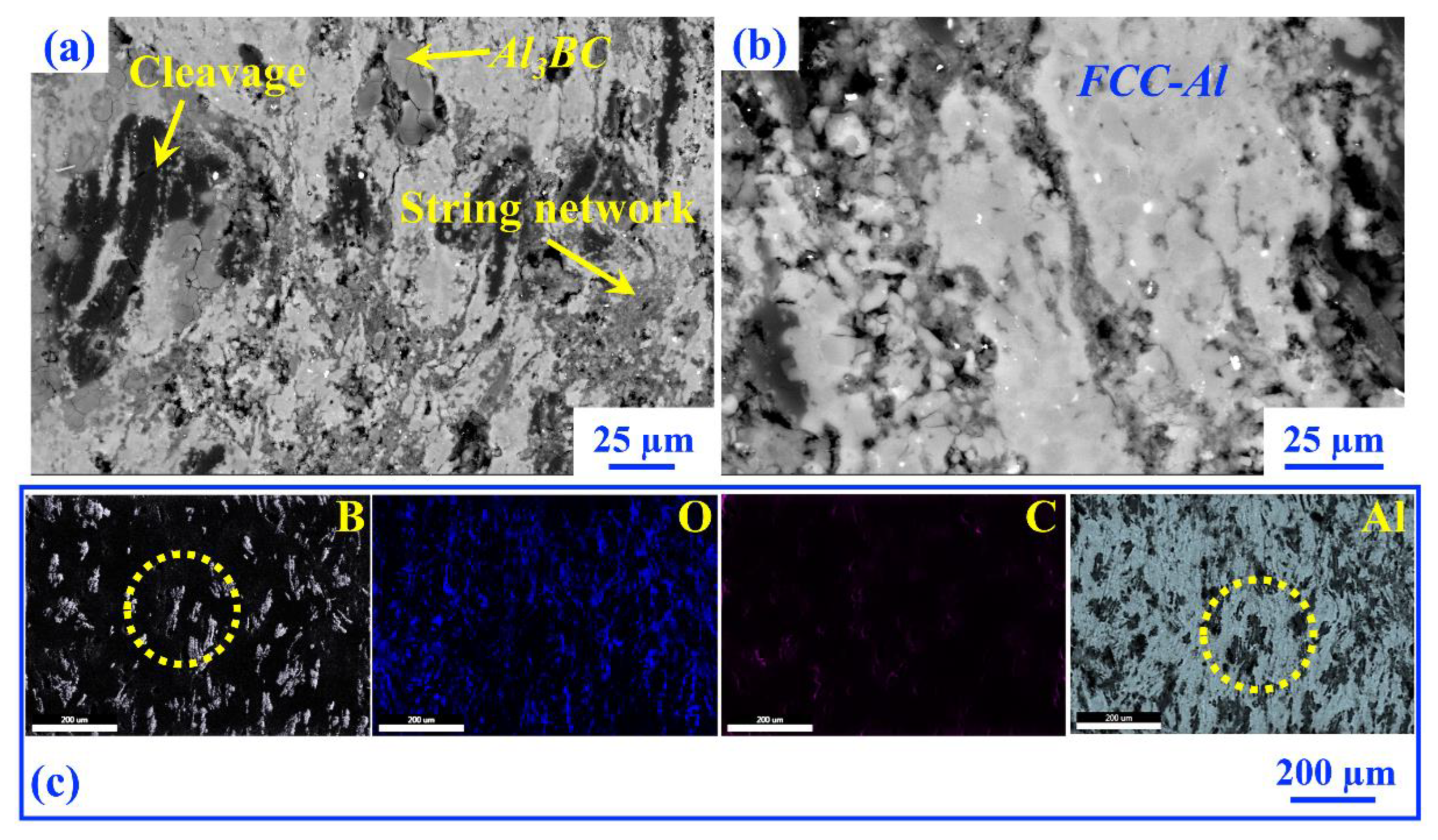 Applsci 15 05189 g003