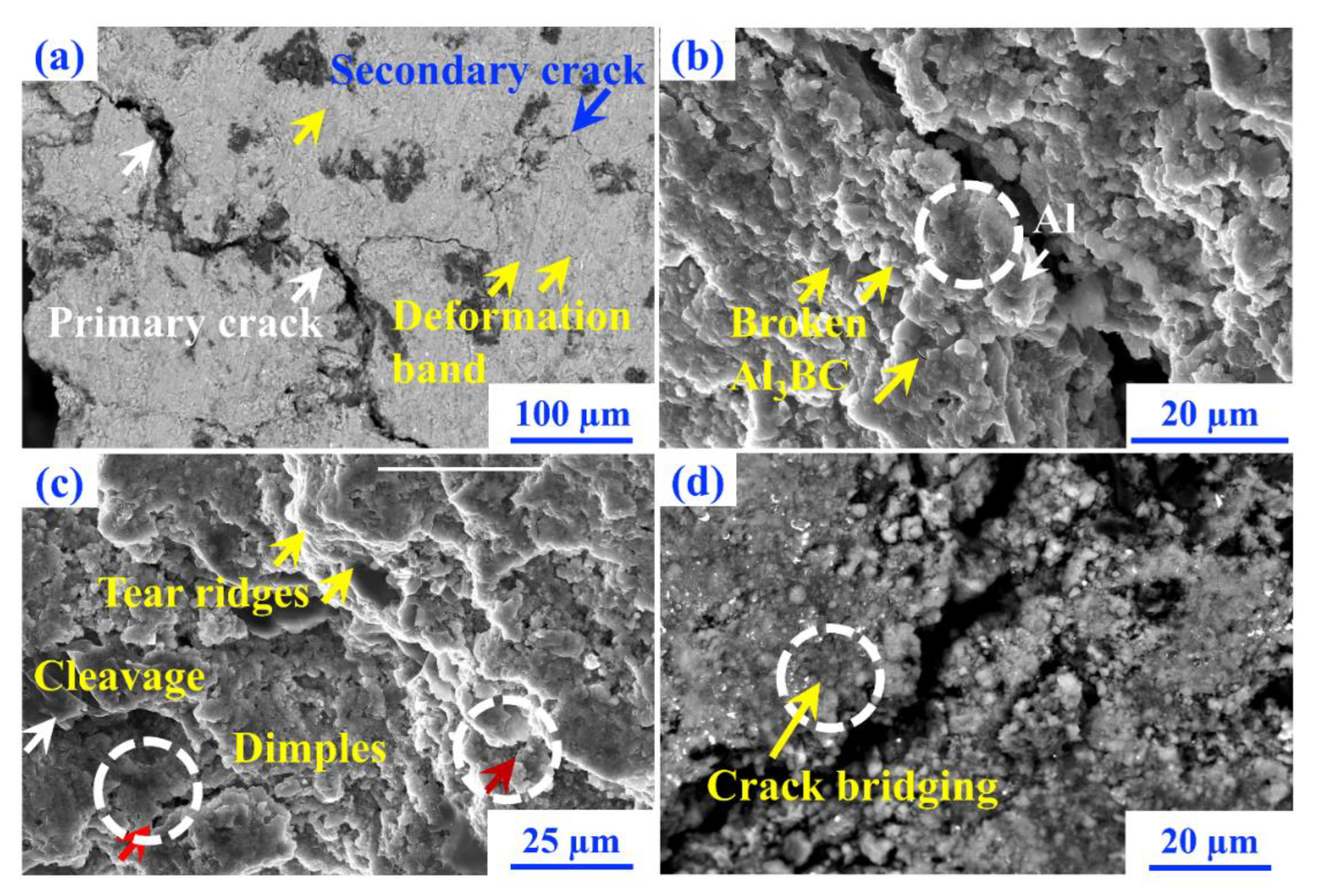 Applsci 15 05189 g006