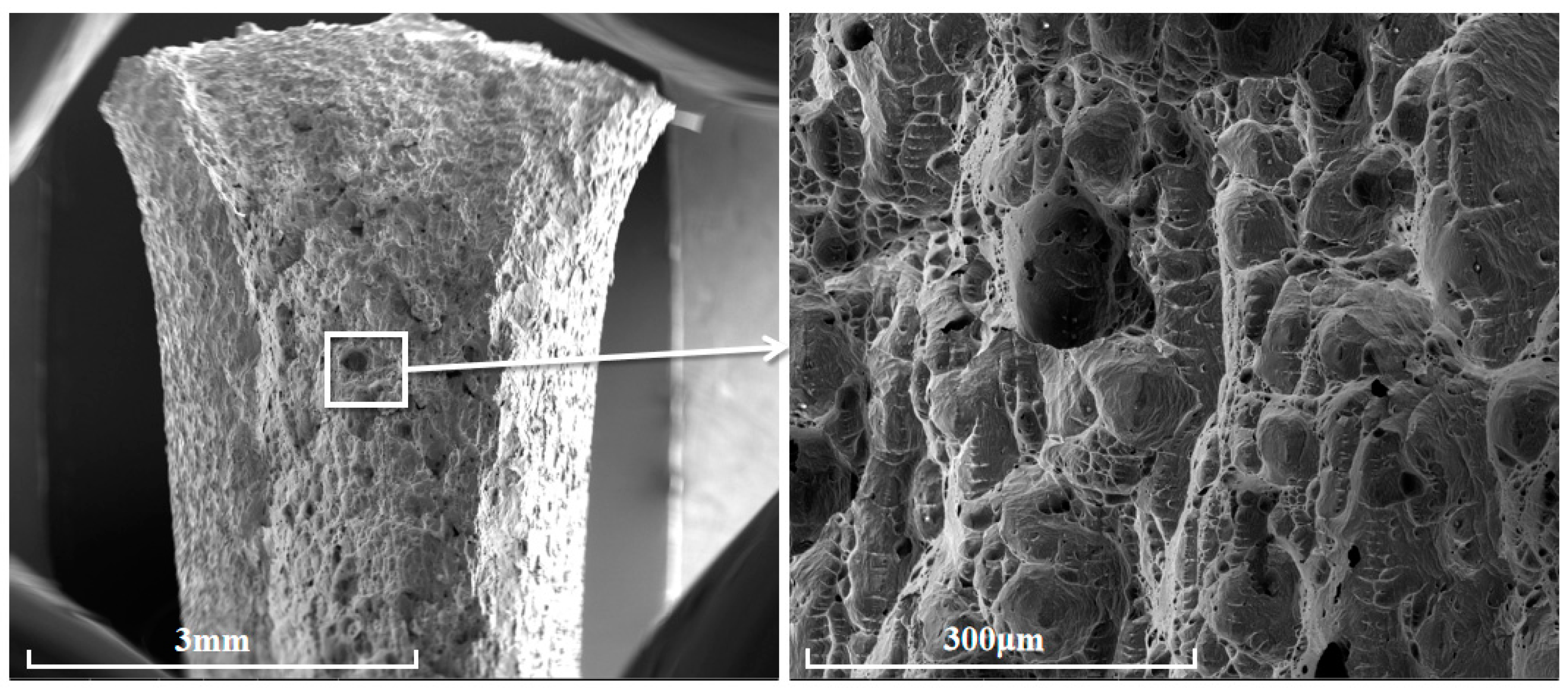 Applsci 15 05201 g006