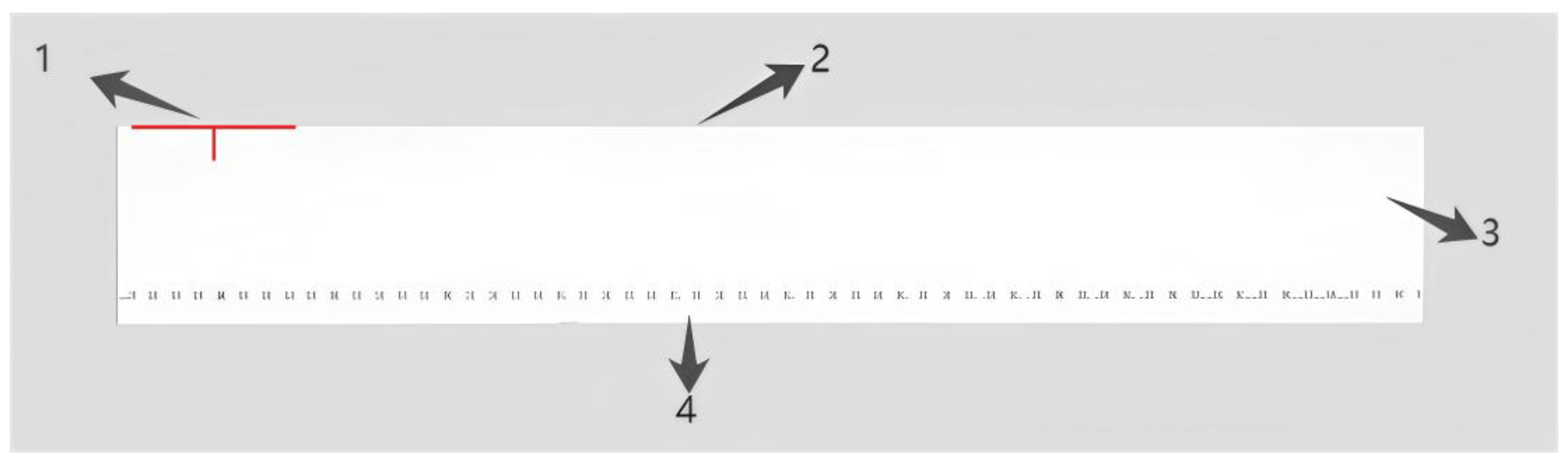 Applsci 15 05205 g001