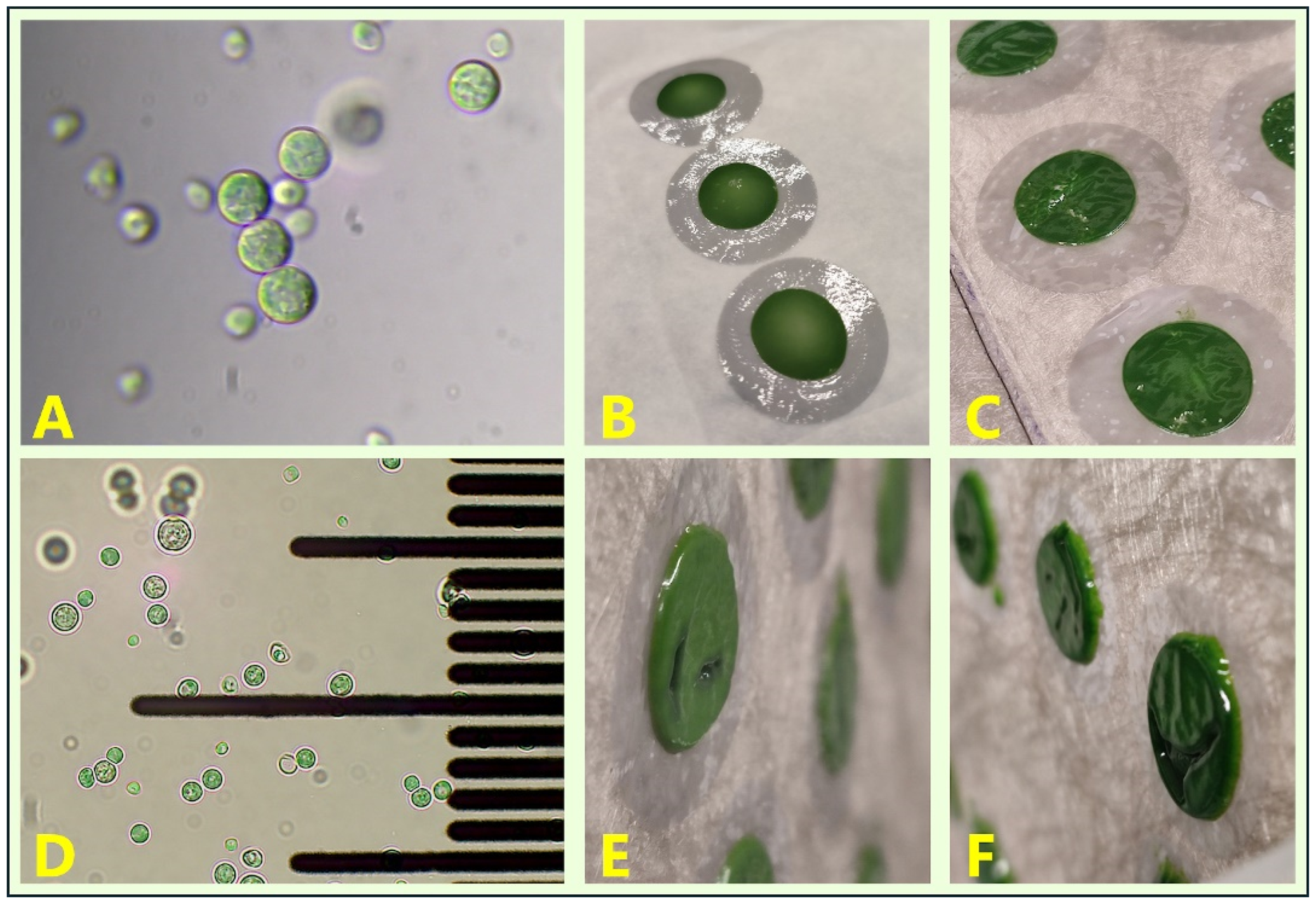 Applsci 15 05220 g002
