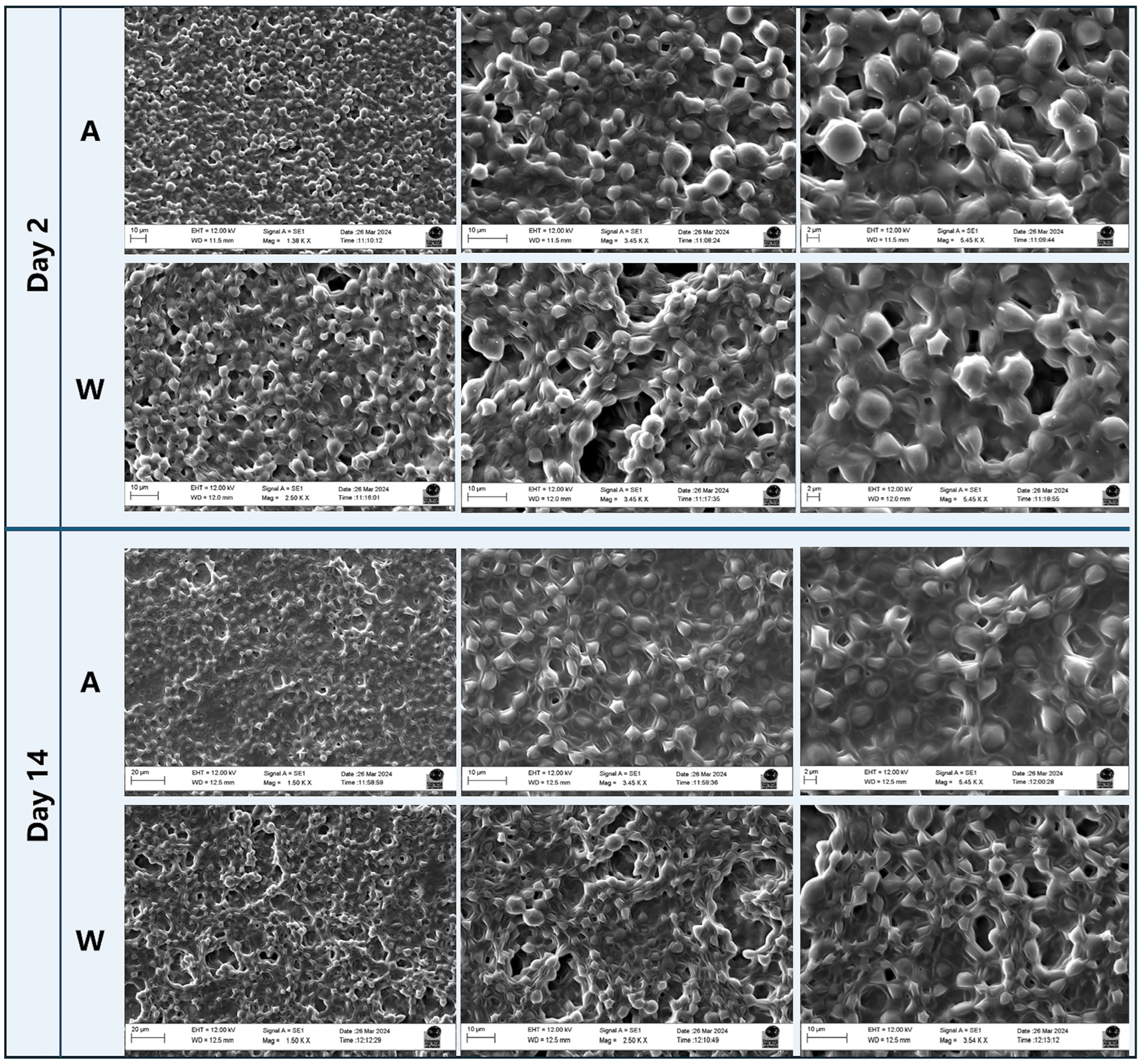 Applsci 15 05220 g008