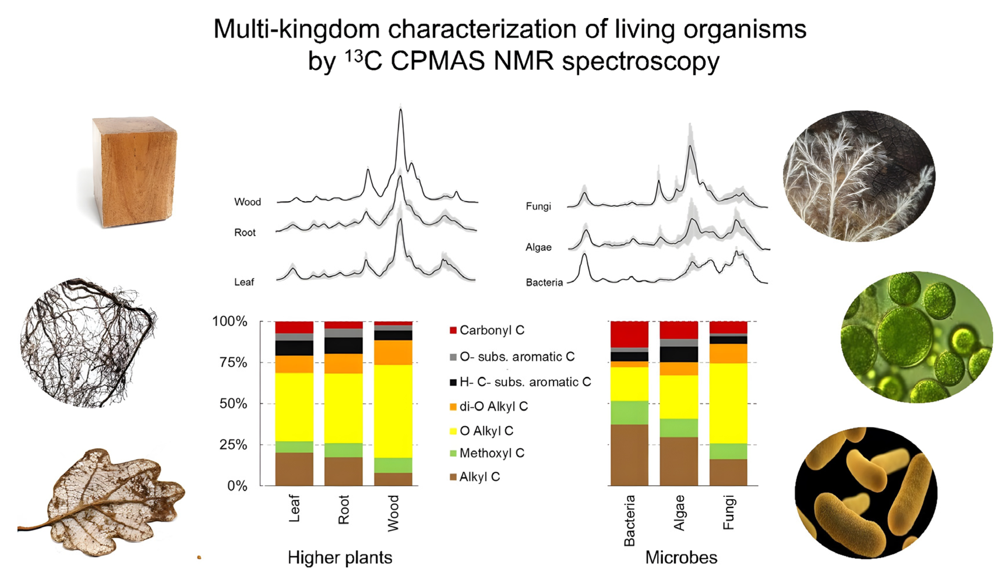 Applsci 15 05246 g003