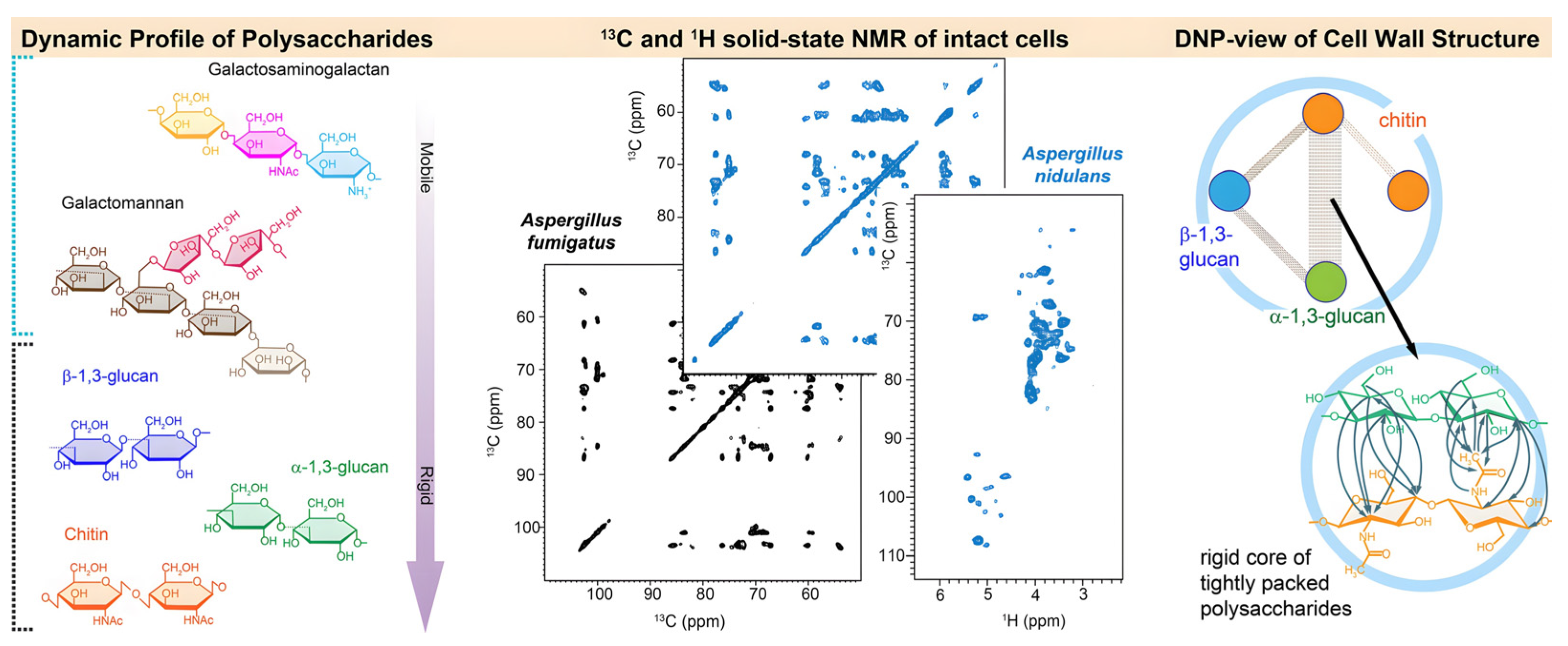Applsci 15 05246 g004
