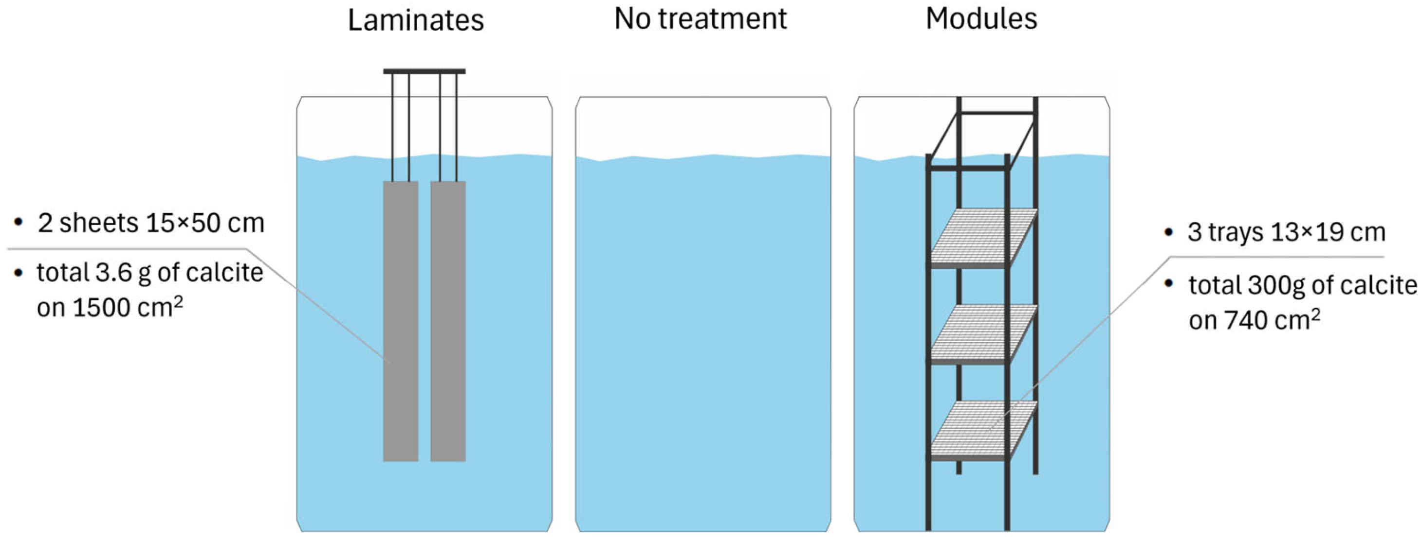 Applsci 15 05262 g004