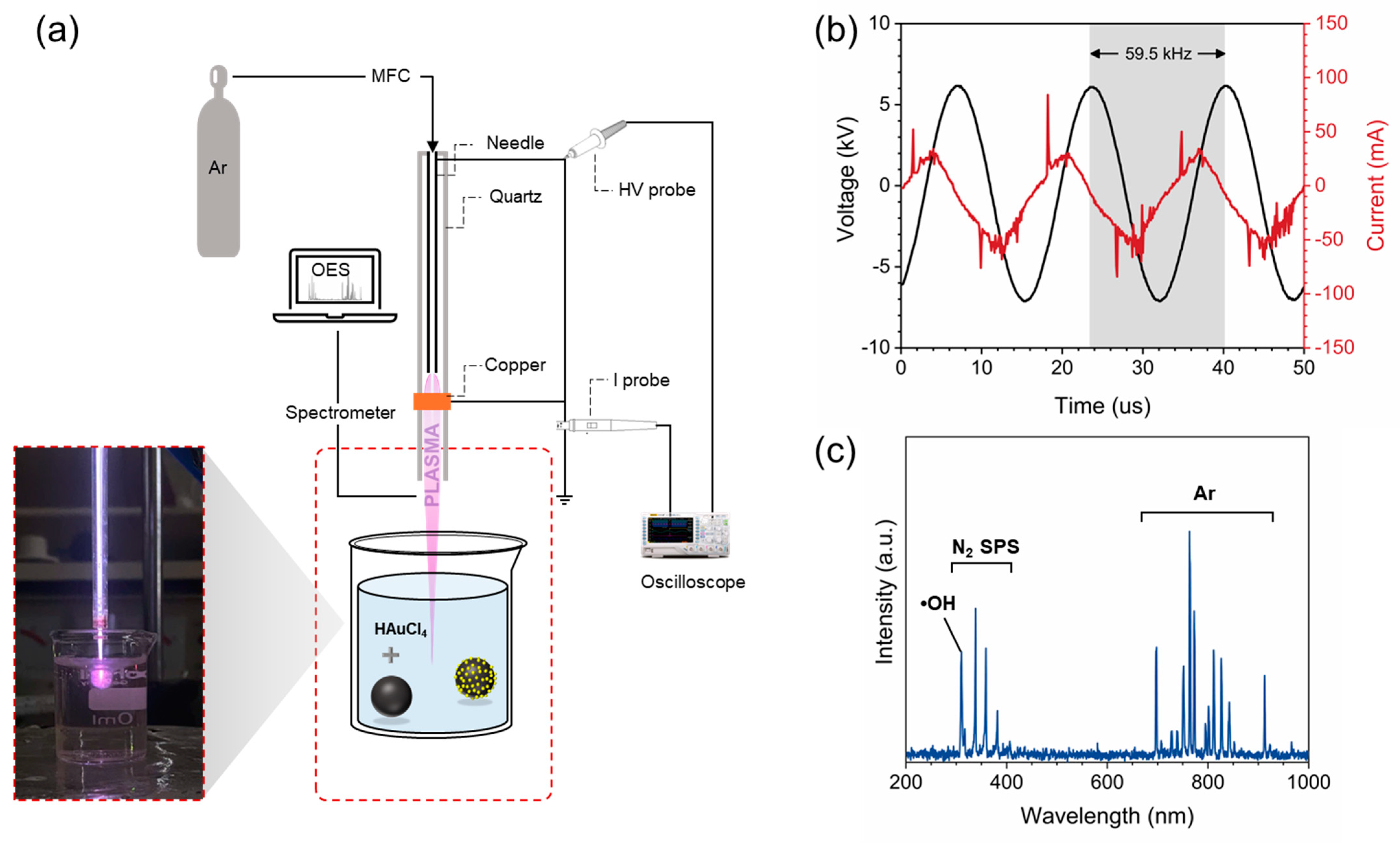 Plasma-Assisted Decoration of Gold Nanoparticles on