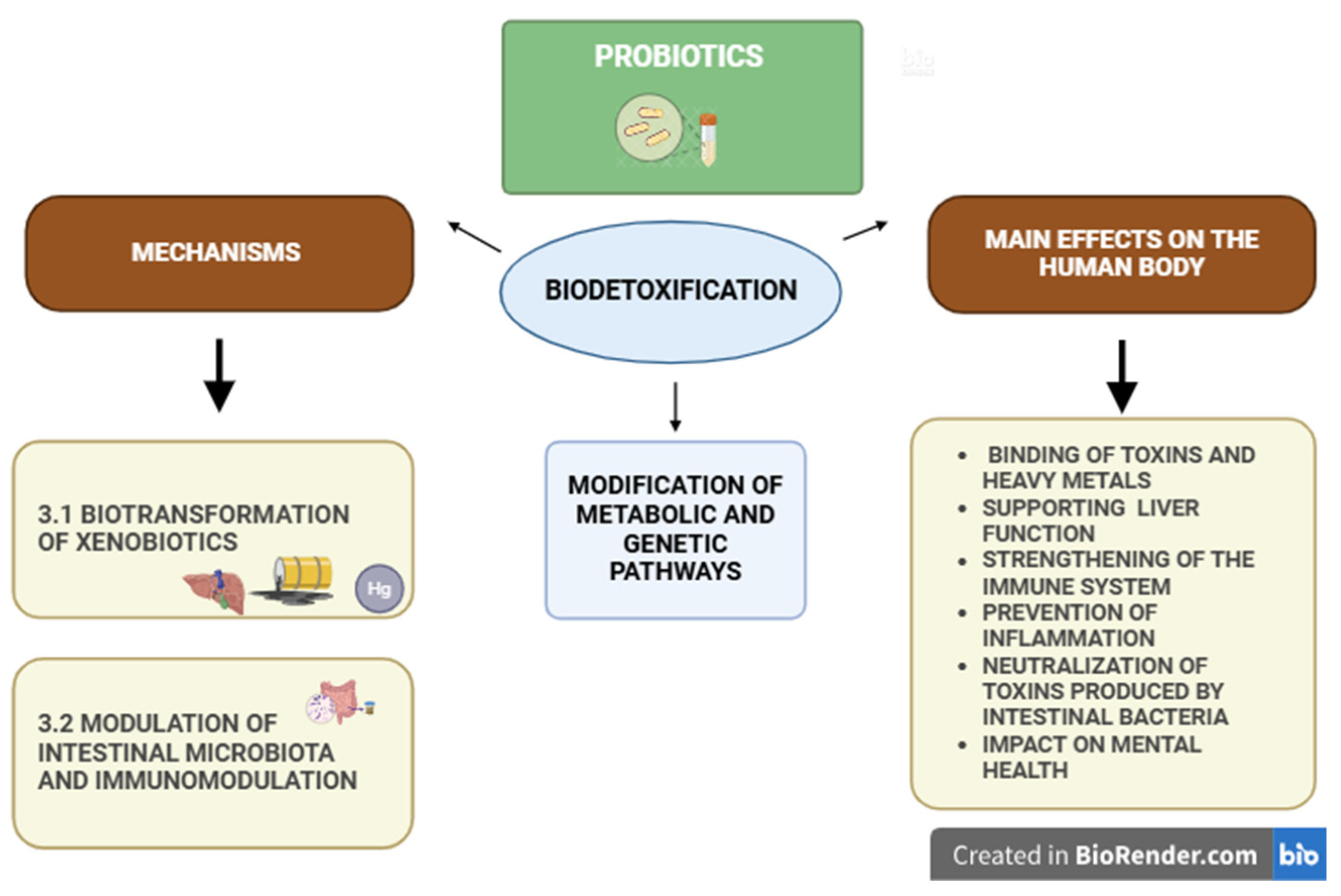 Applsci 15 05297 g002