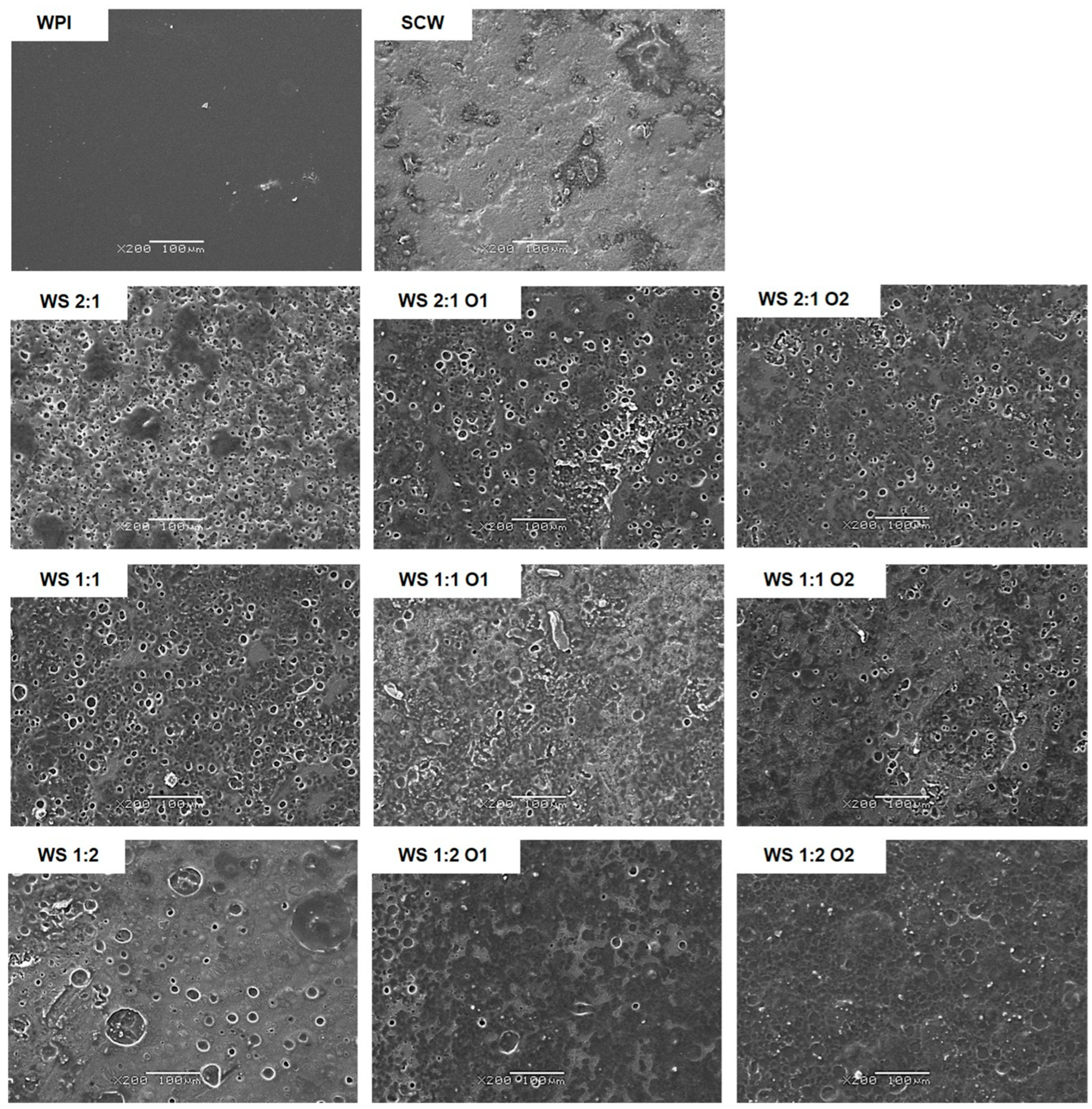 Applsci 15 05325 g005