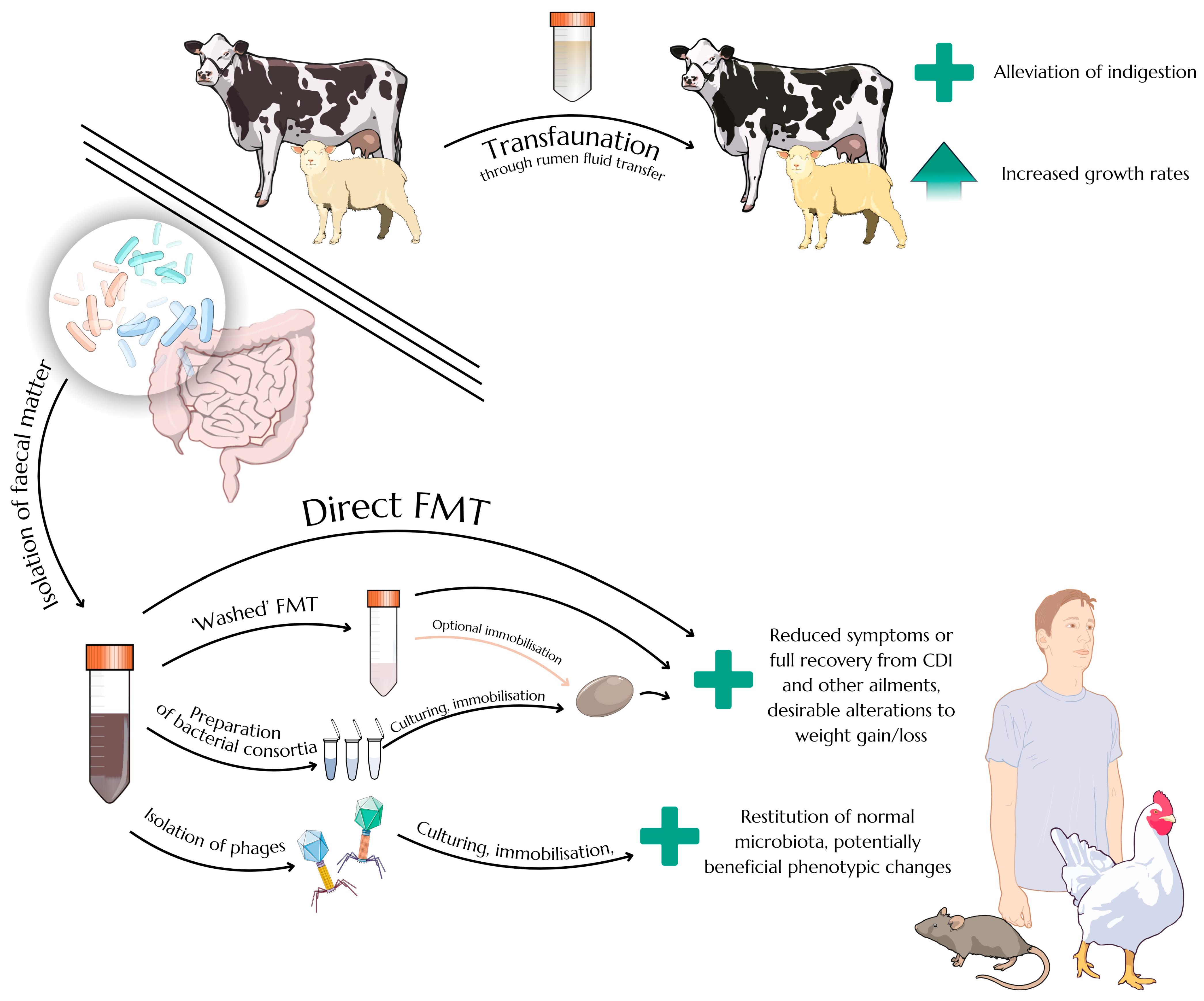 Applsci 15 05330 g001