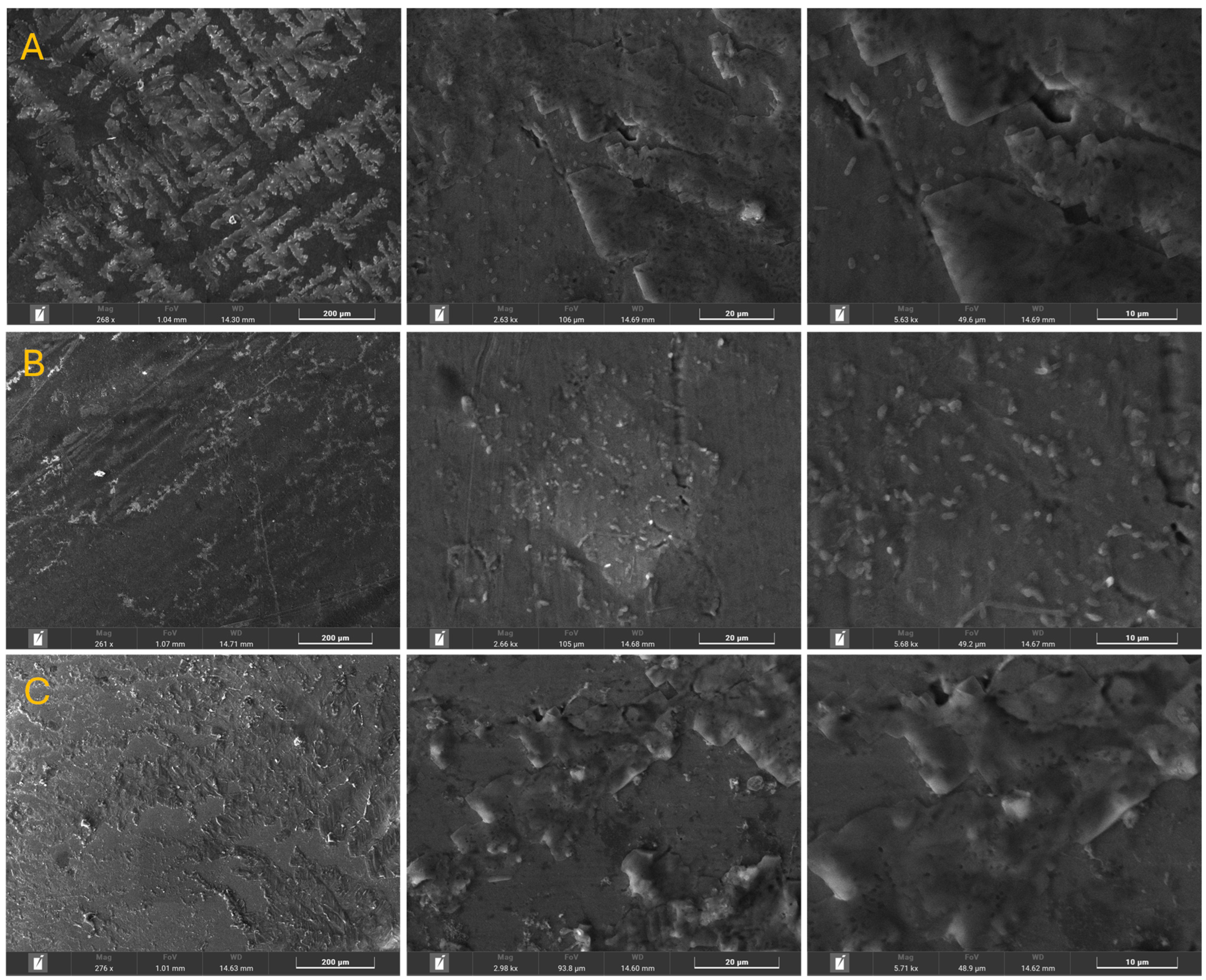 Applsci 15 05345 g002