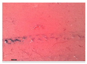 Applsci 15 05355 i016 Applsci 15 05355 i016