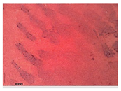 Applsci 15 05355 i018 Applsci 15 05355 i018