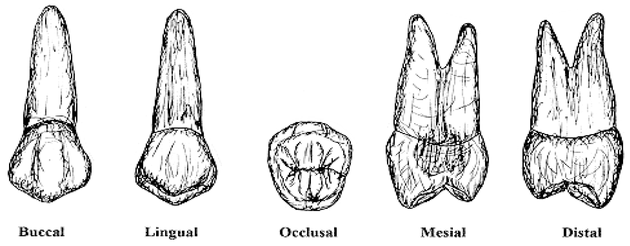 Applsci 15 05371 g001
