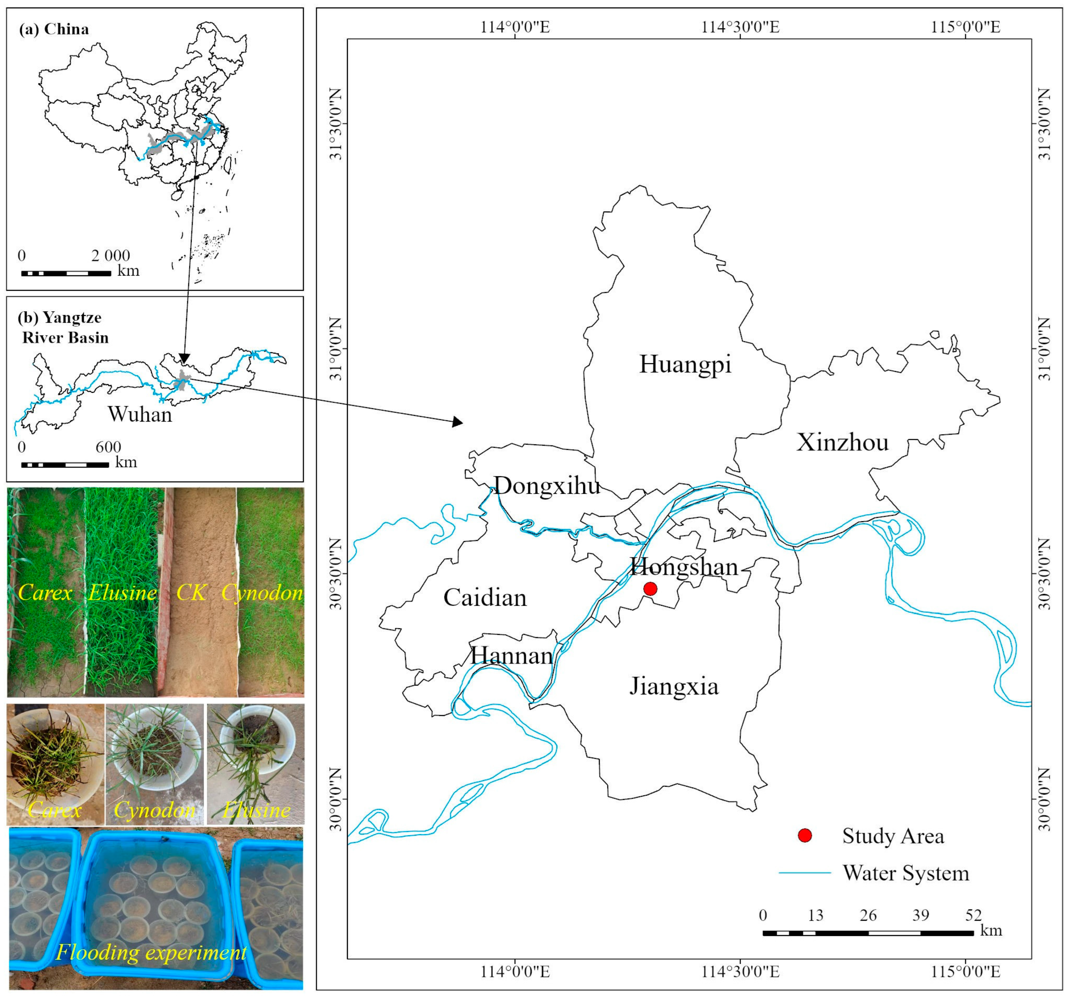 Applsci 15 05376 g001 Applsci 15 05376 g001