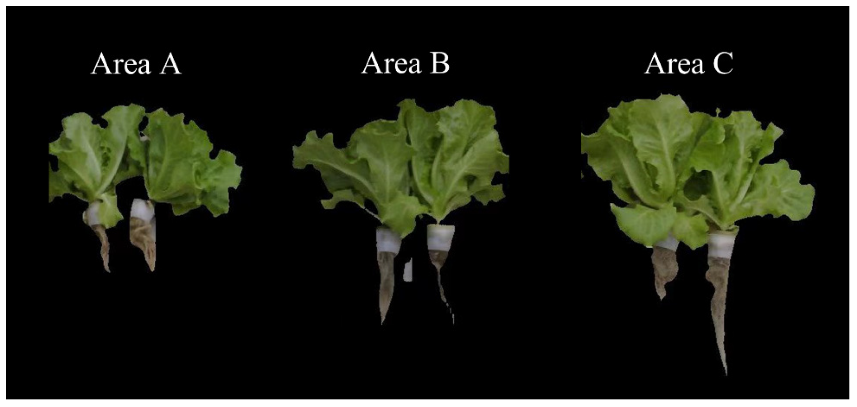 Applsci 15 05381 g019