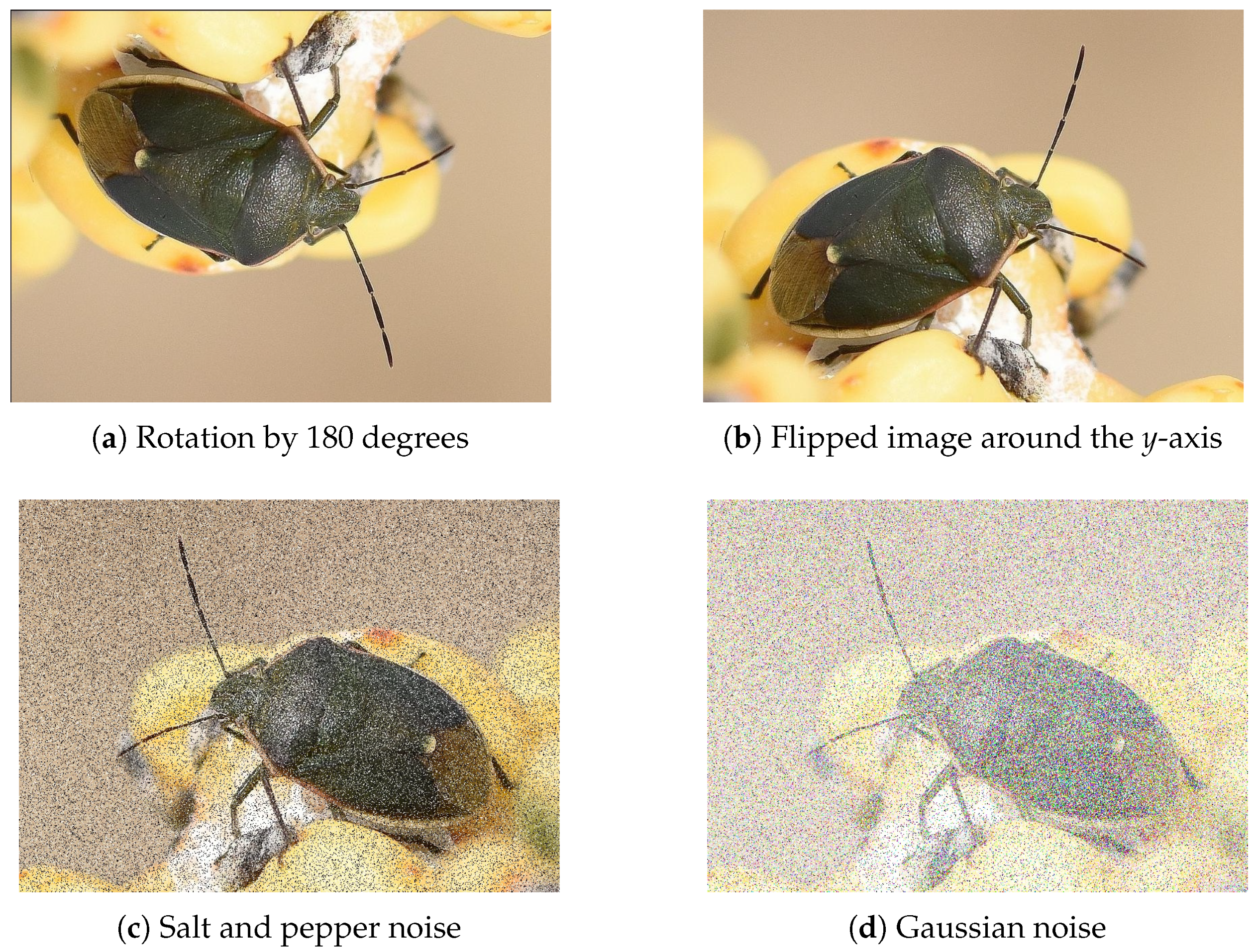 Applsci 15 05385 g006