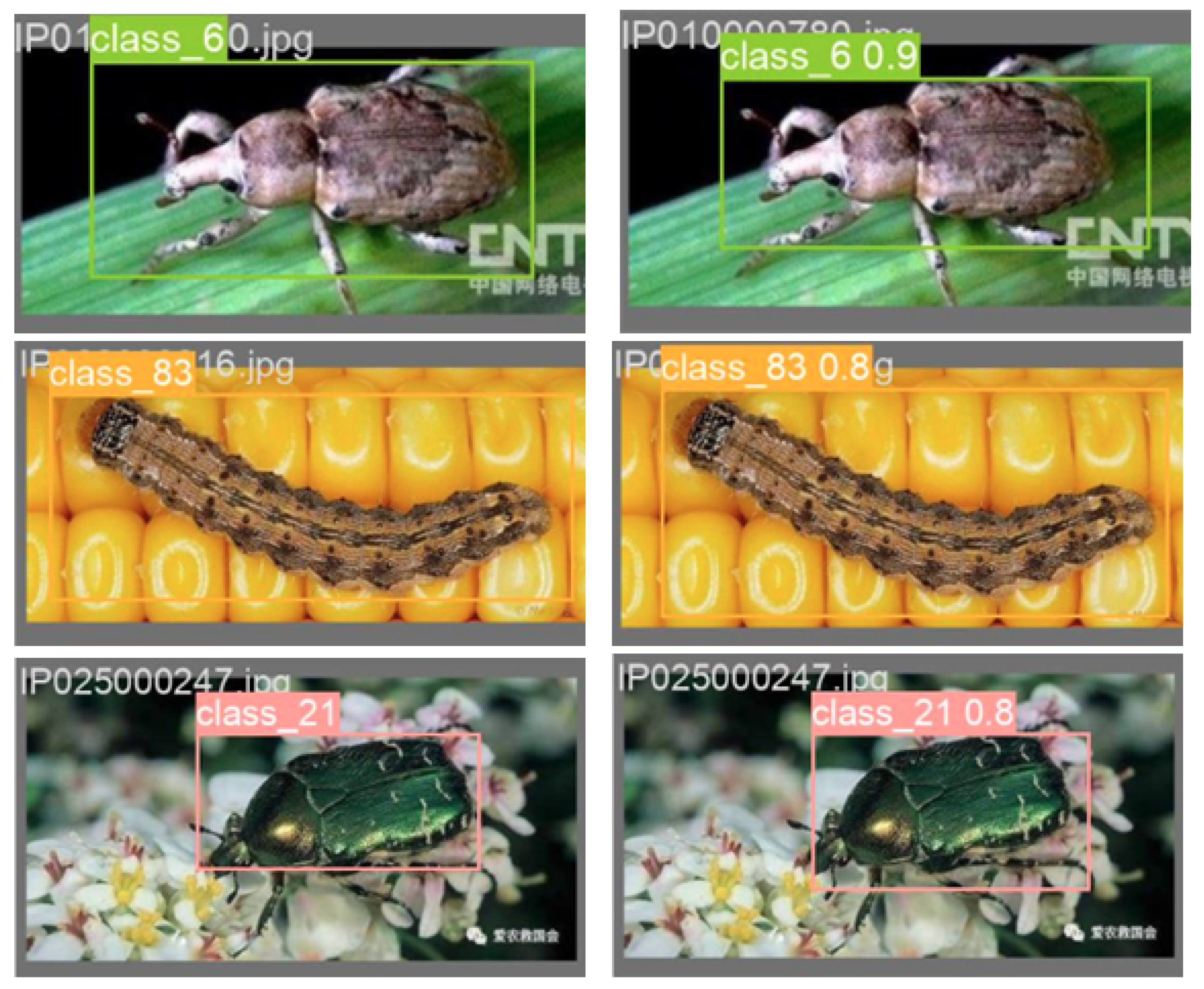 Applsci 15 05385 g009