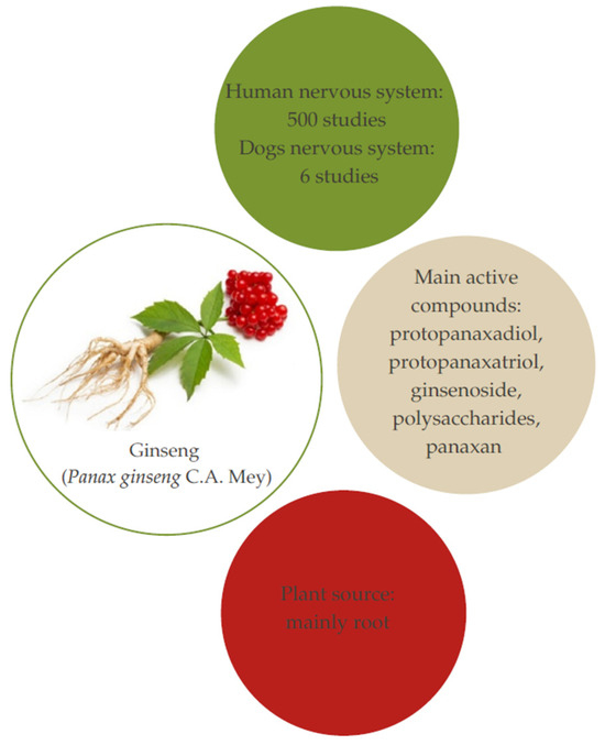 Herbal Support for the Nervous System: The Impact of Adaptogens in ...