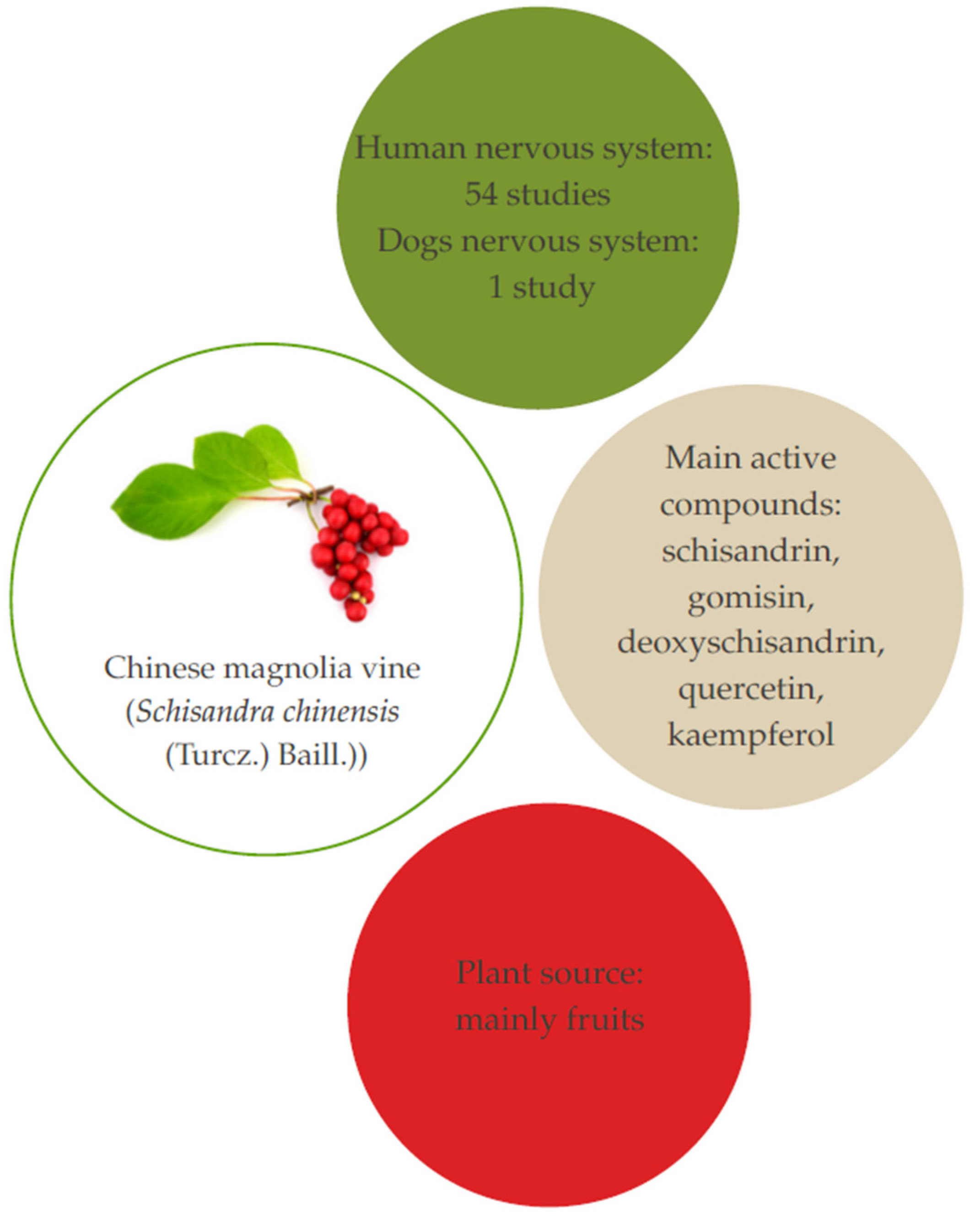 Applsci 15 05402 g004