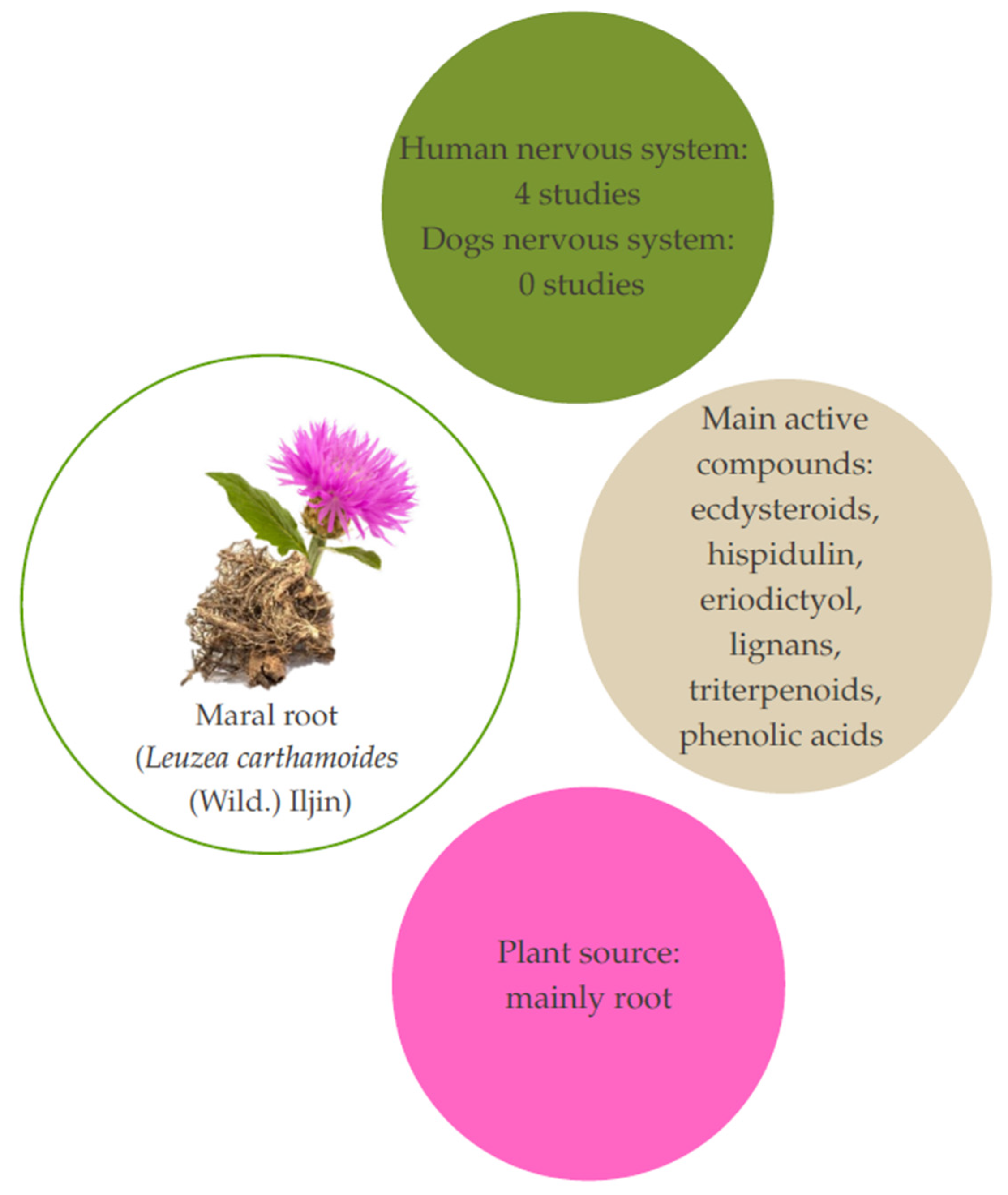 Applsci 15 05402 g005