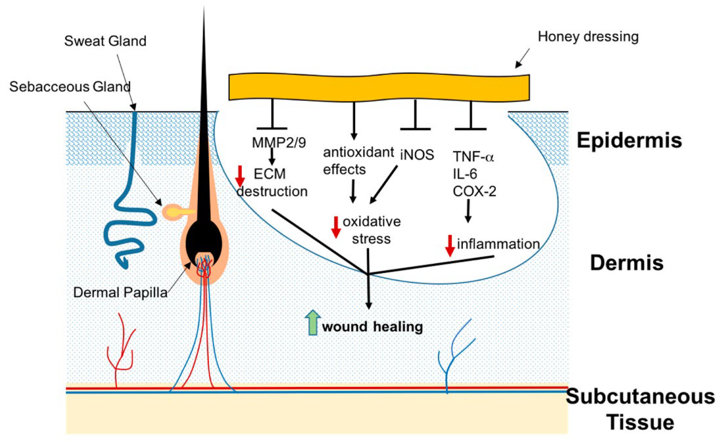 Applsci 15 05413 g002