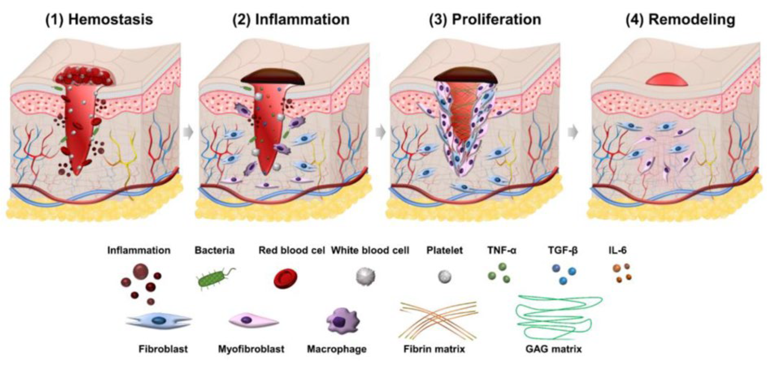 Applsci 15 05413 g003