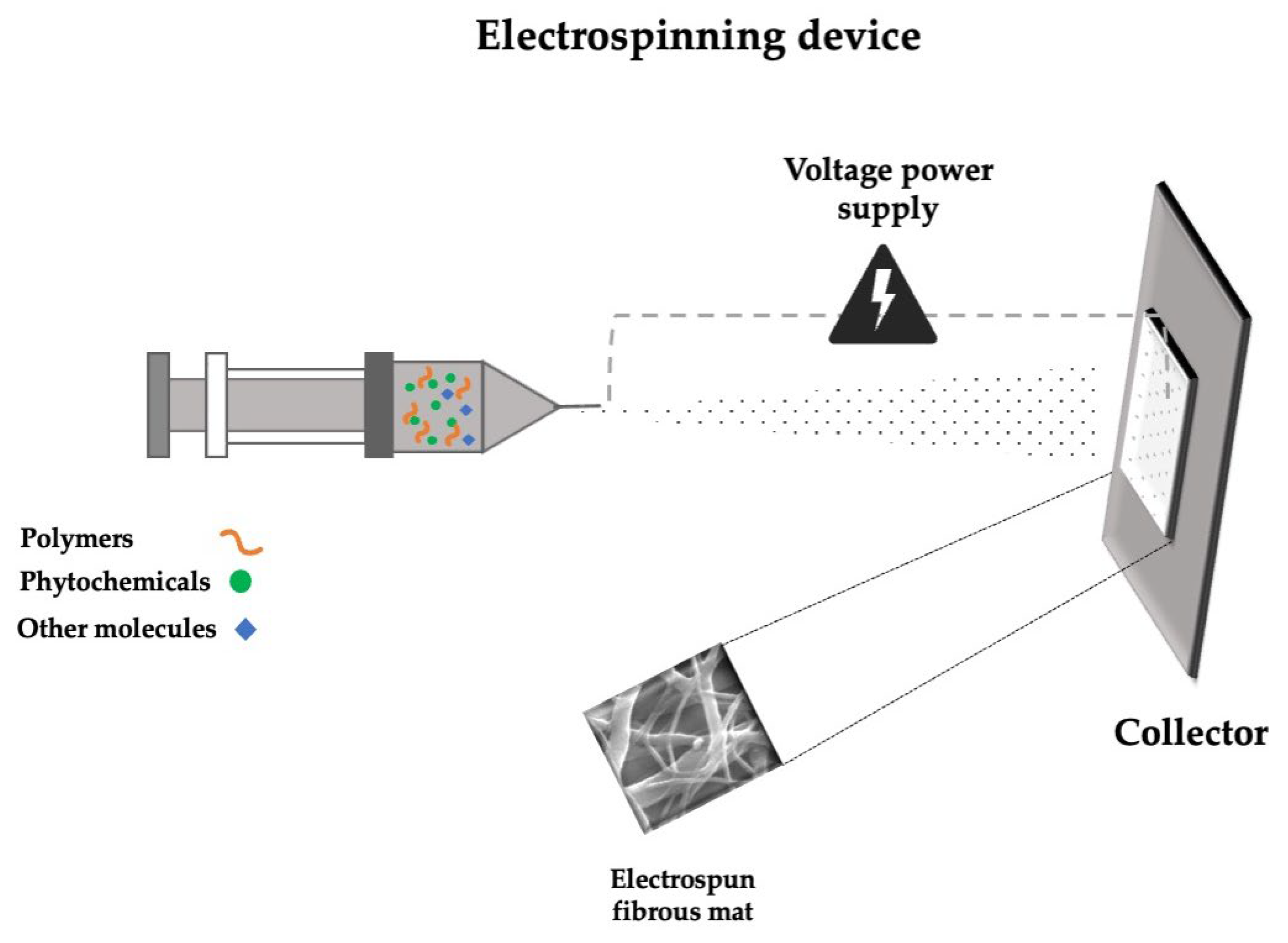 Applsci 15 05413 g004