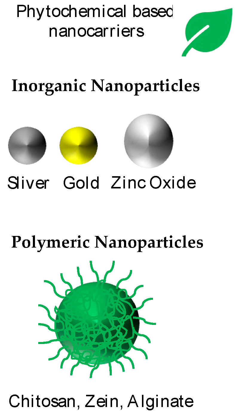 Applsci 15 05413 g007