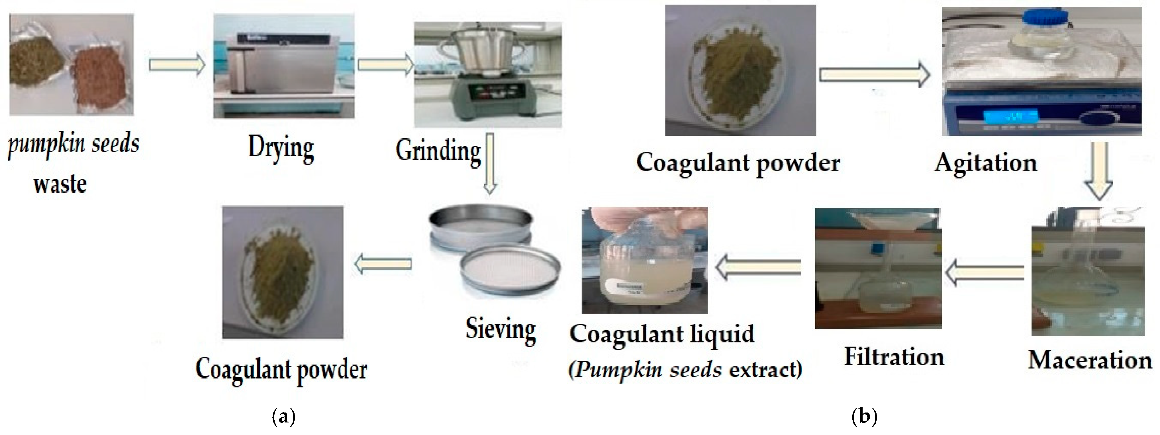 Applsci 15 05439 g001