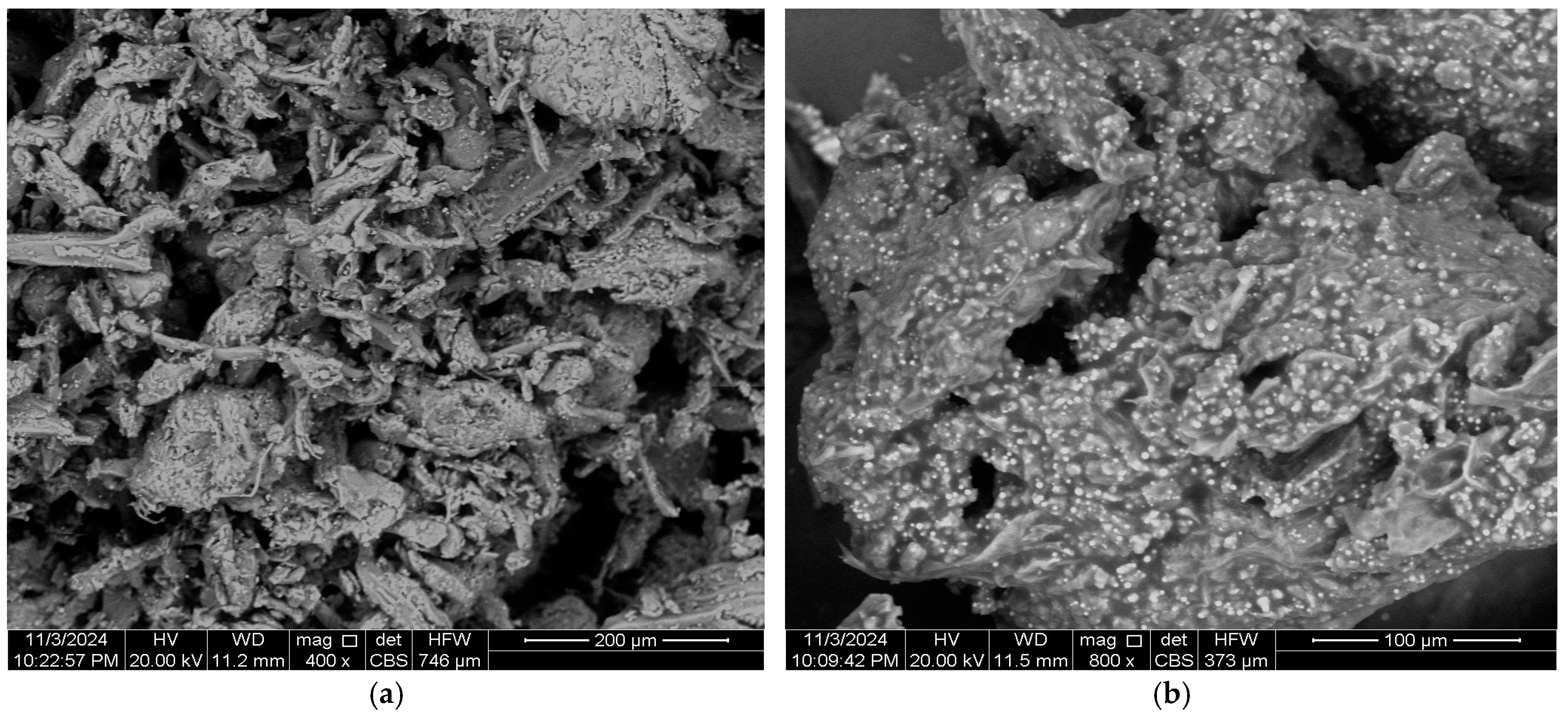 Applsci 15 05439 g003a