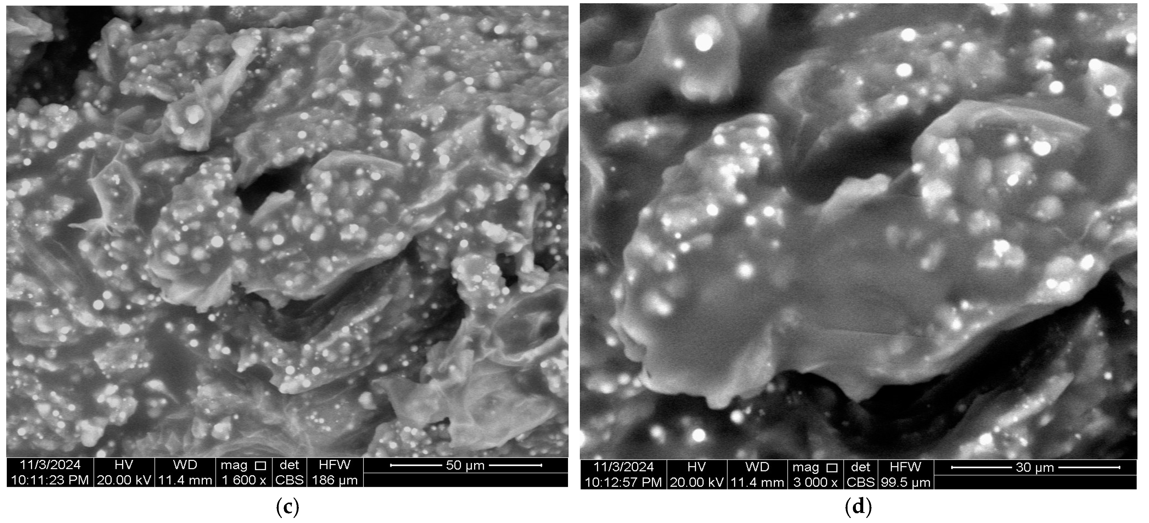 Applsci 15 05439 g003b