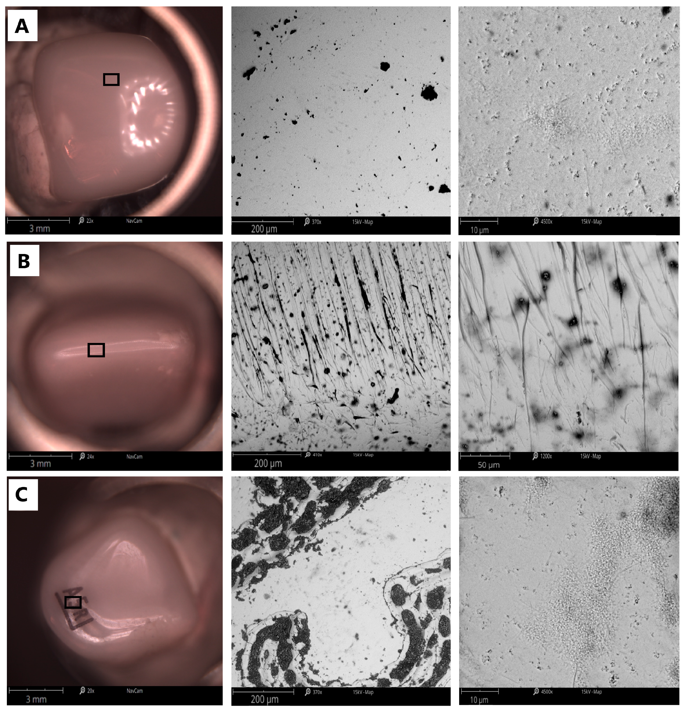 Applsci 15 05444 g002