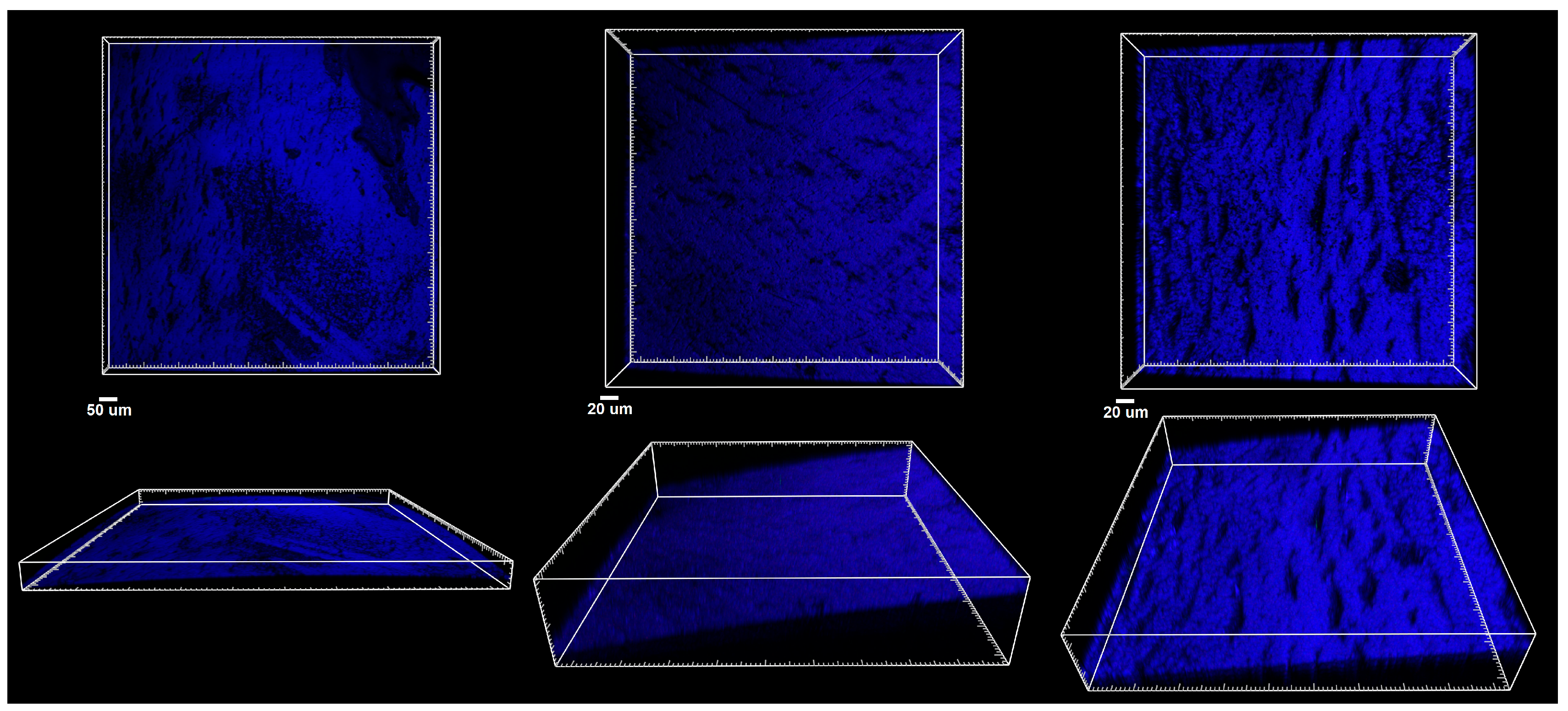 Applsci 15 05444 g007