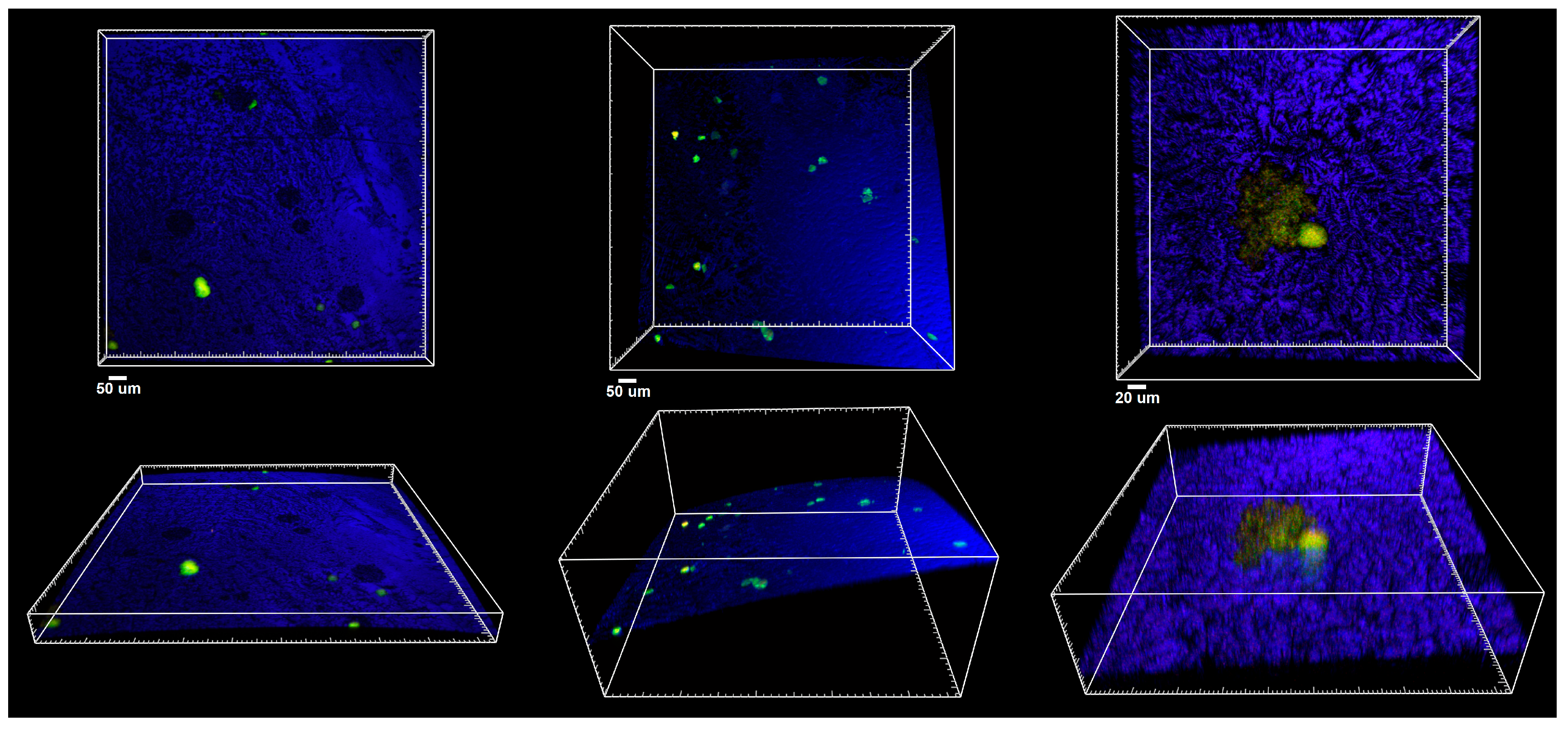 Applsci 15 05444 g008