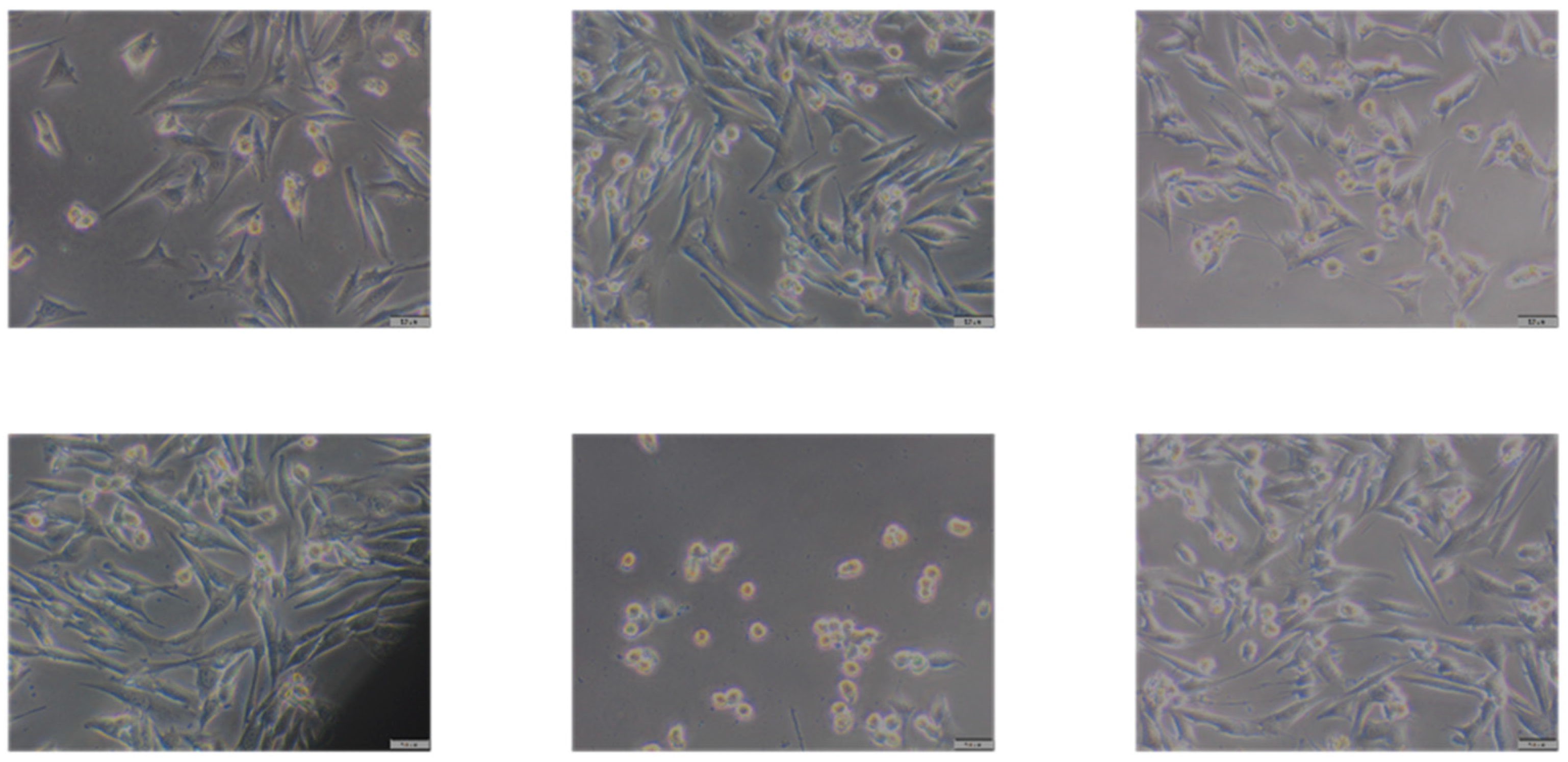 Applsci 15 05444 g009