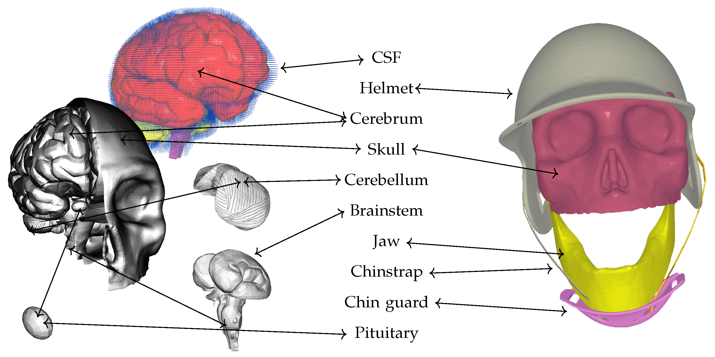 Applsci 15 05459 g001