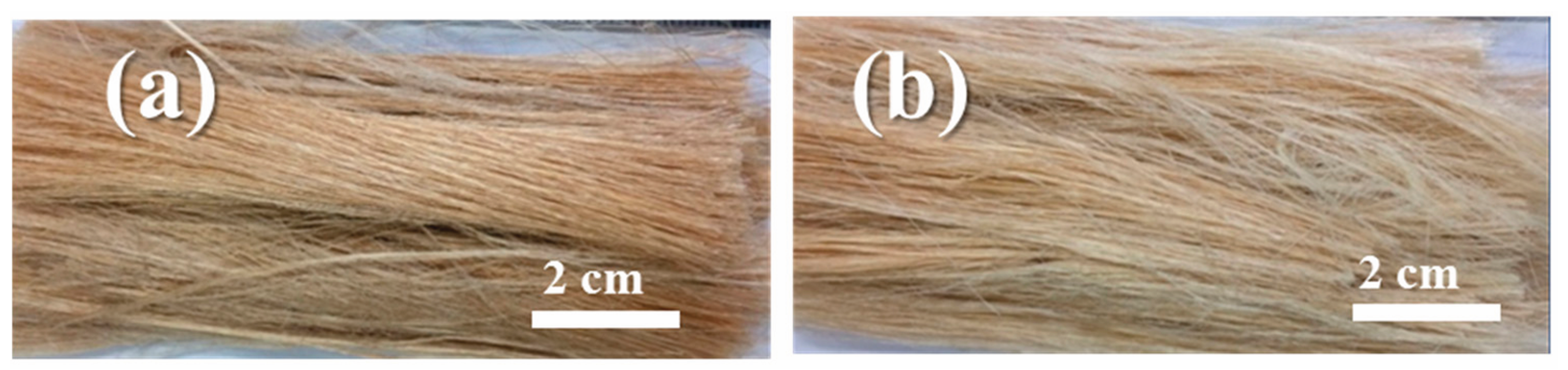 Applsci 15 05515 g001