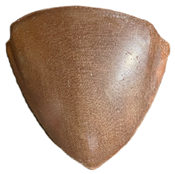 Applsci 15 05515 i006