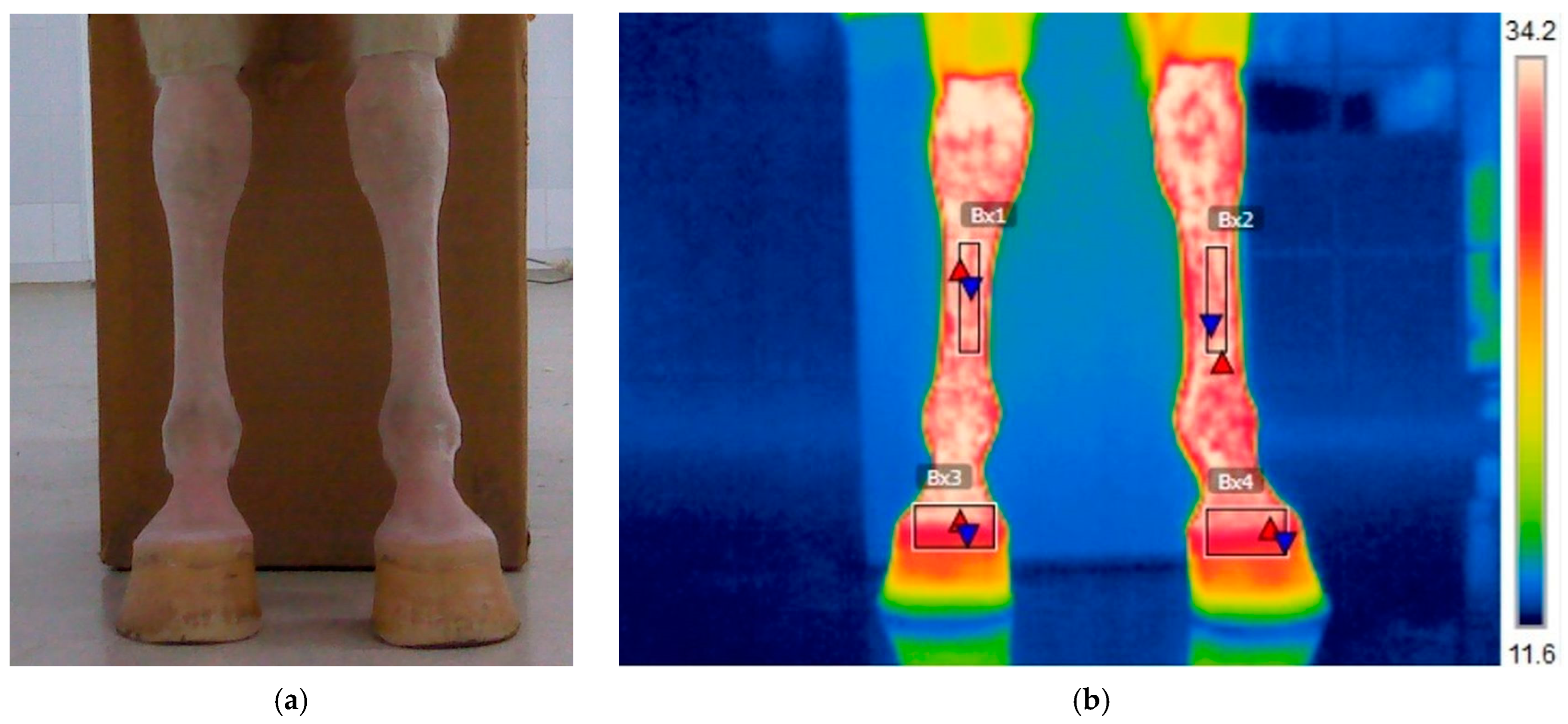 Applsci 15 05524 g001