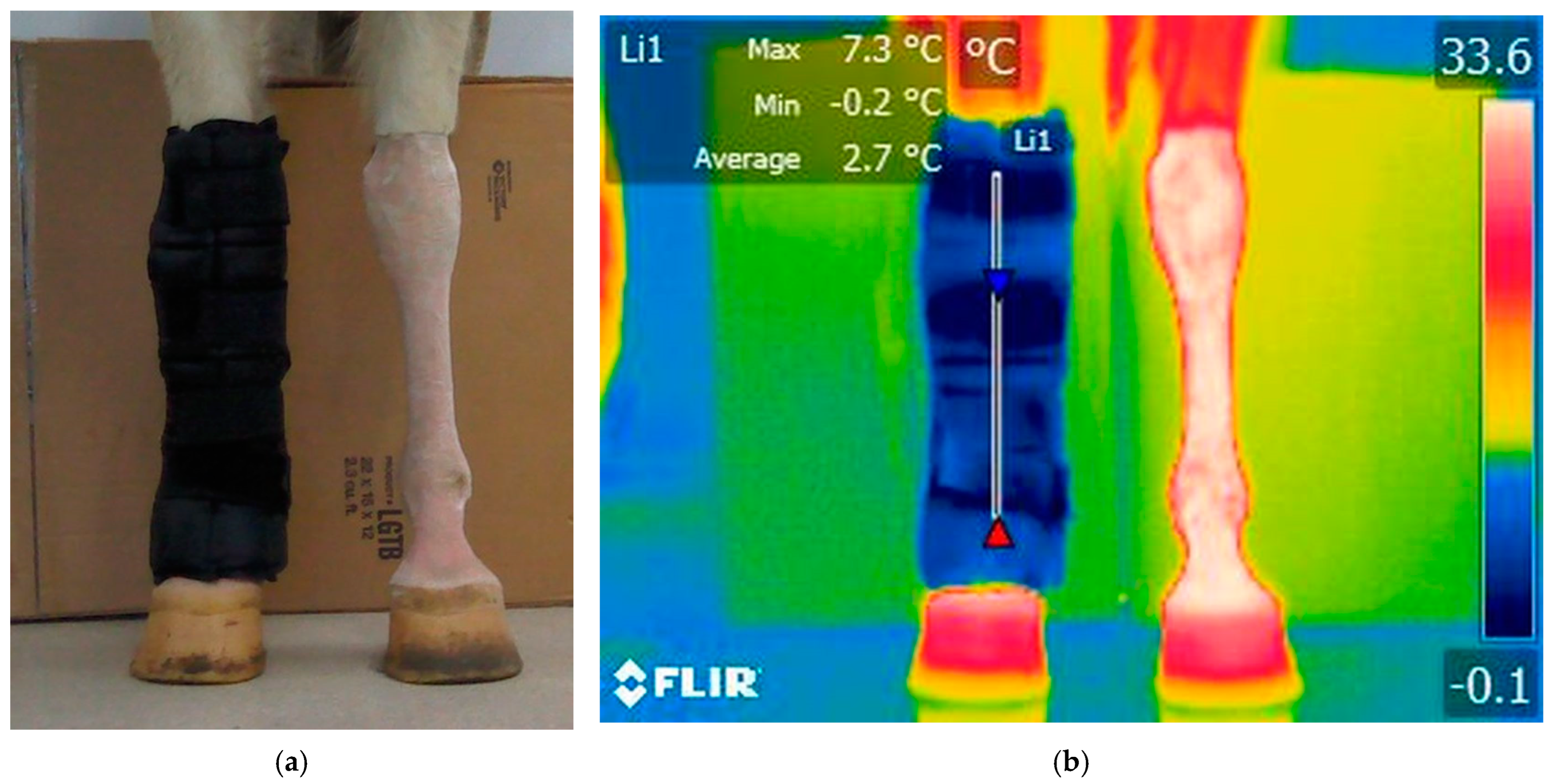 Applsci 15 05524 g002