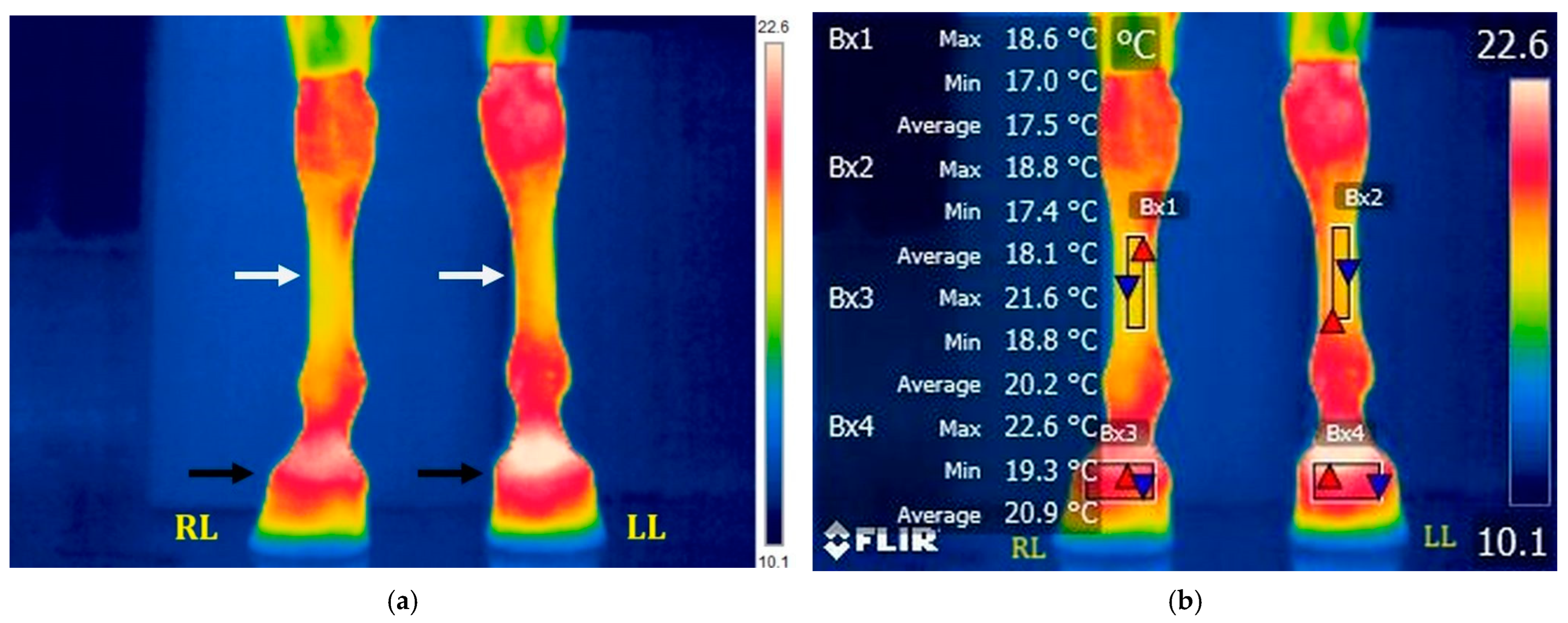 Applsci 15 05524 g003