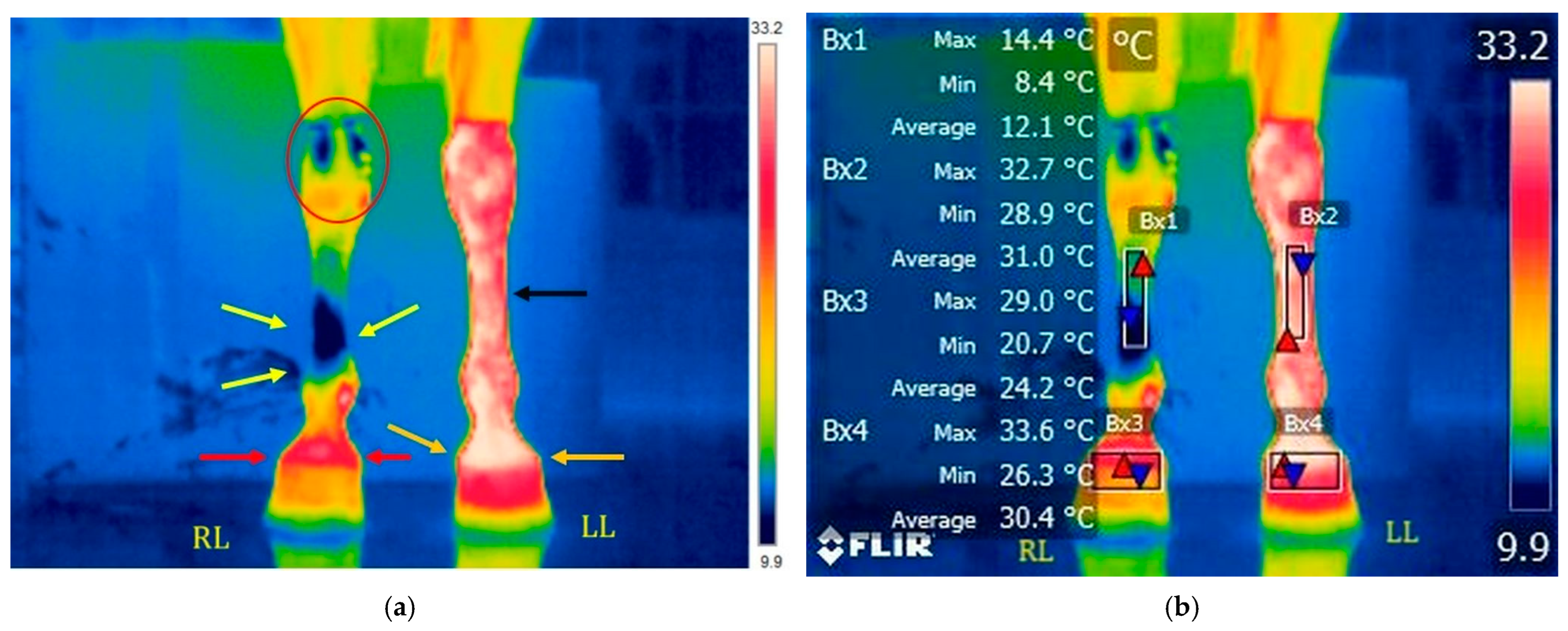Applsci 15 05524 g005