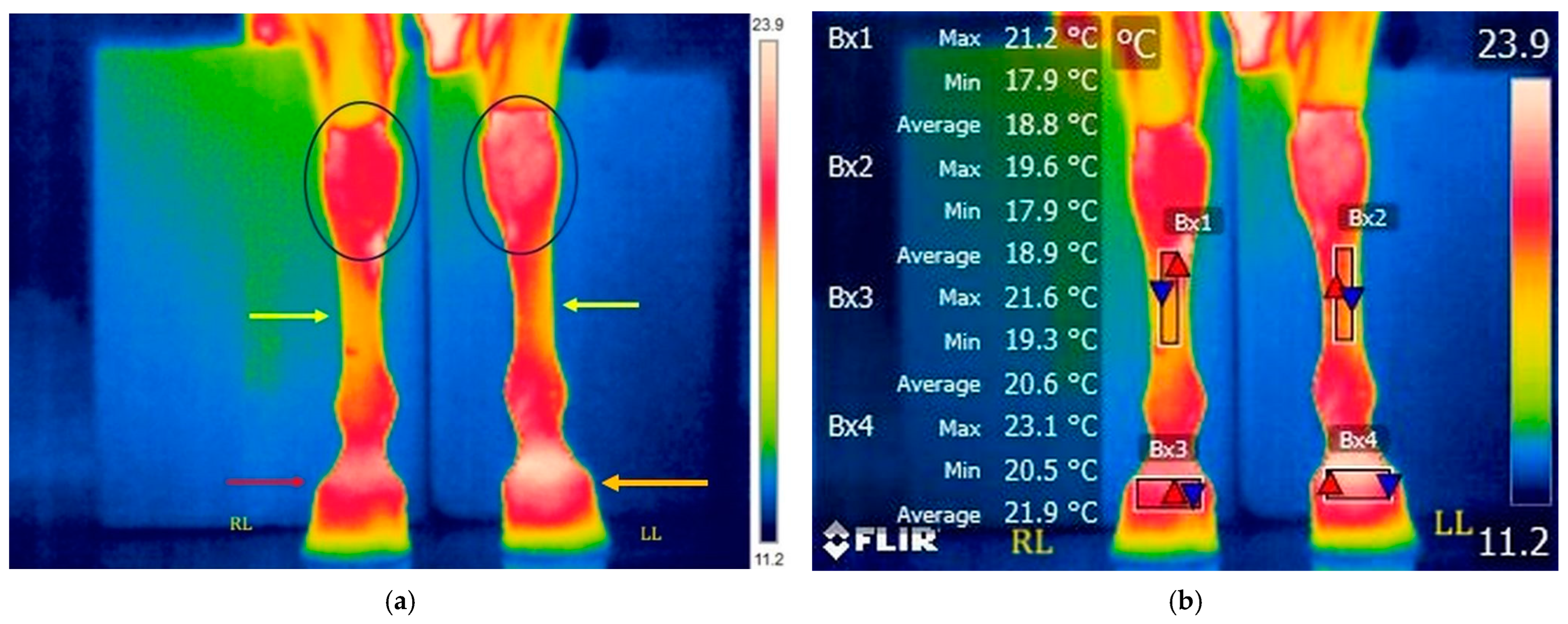 Applsci 15 05524 g008