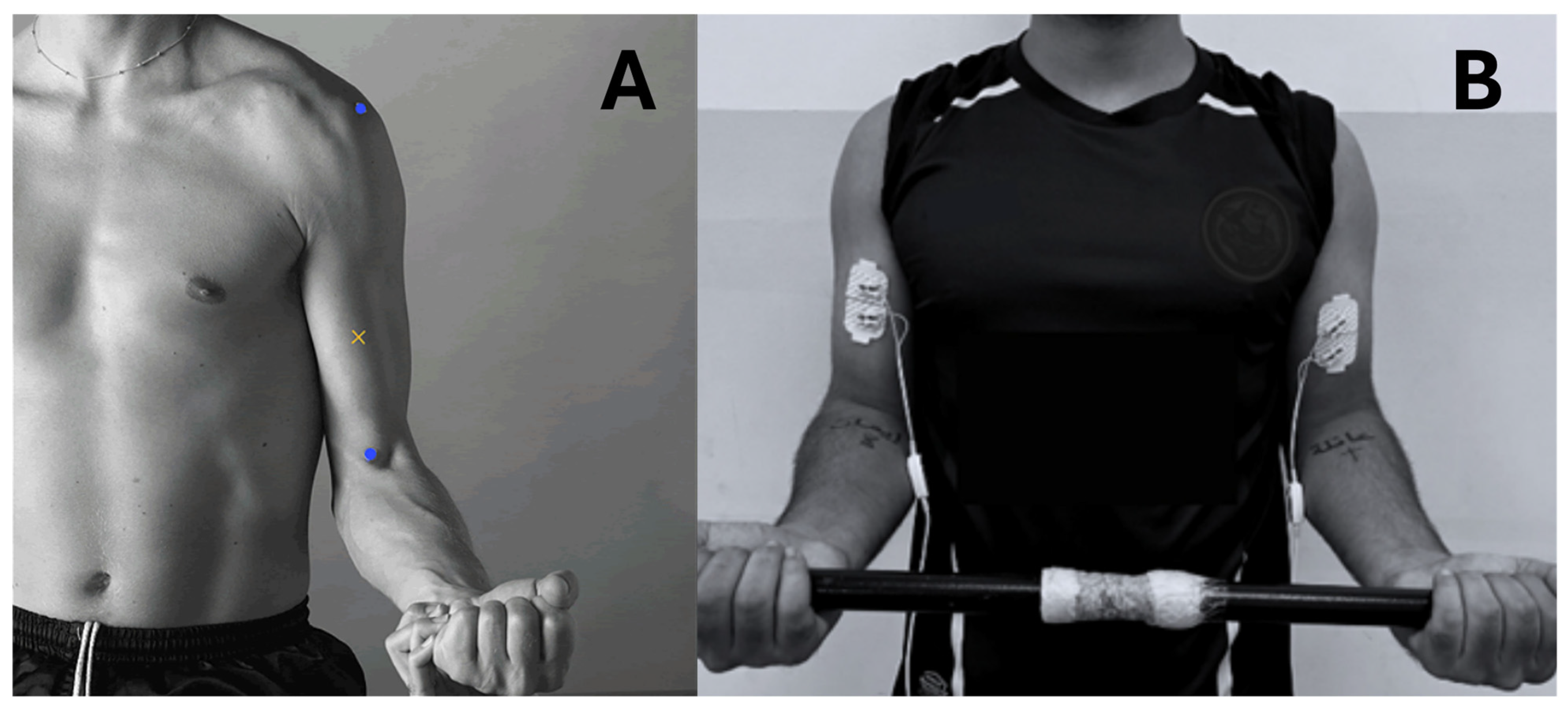 Applsci 15 05528 g002