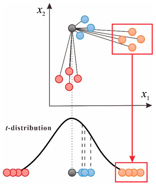 オーダーイメージ画像 Deciphering the stratified distribution and evolution of